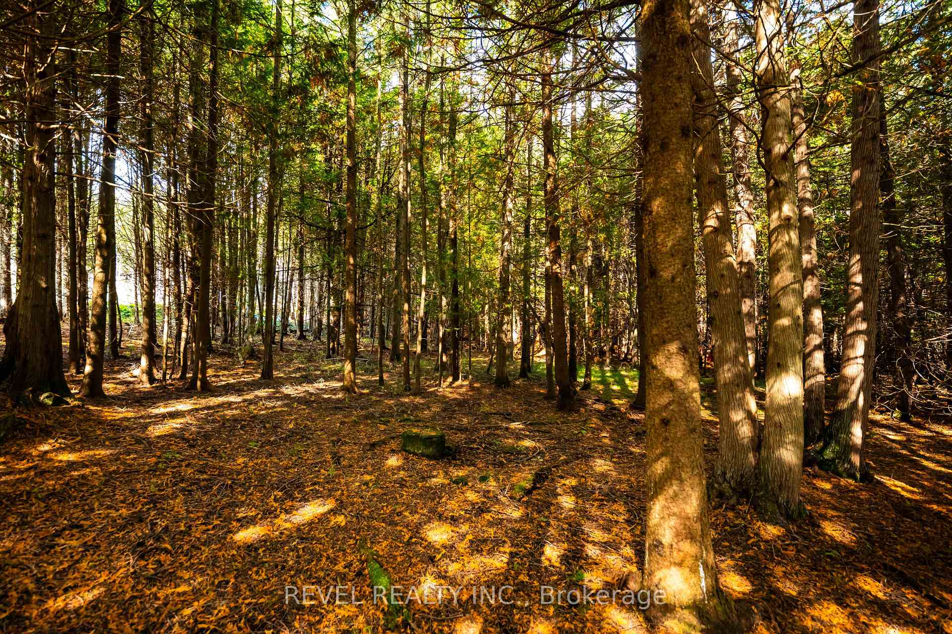 Photo 9 of 543795 Dutch Line, West Grey — HOMEH