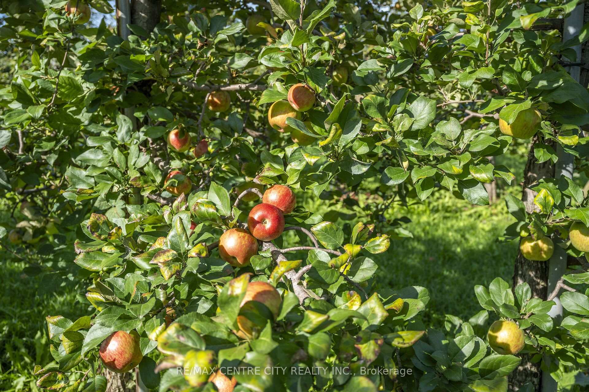 Photo 9 of 1795 Windham Road 11, Norfolk, Windham Centre — HOMEH