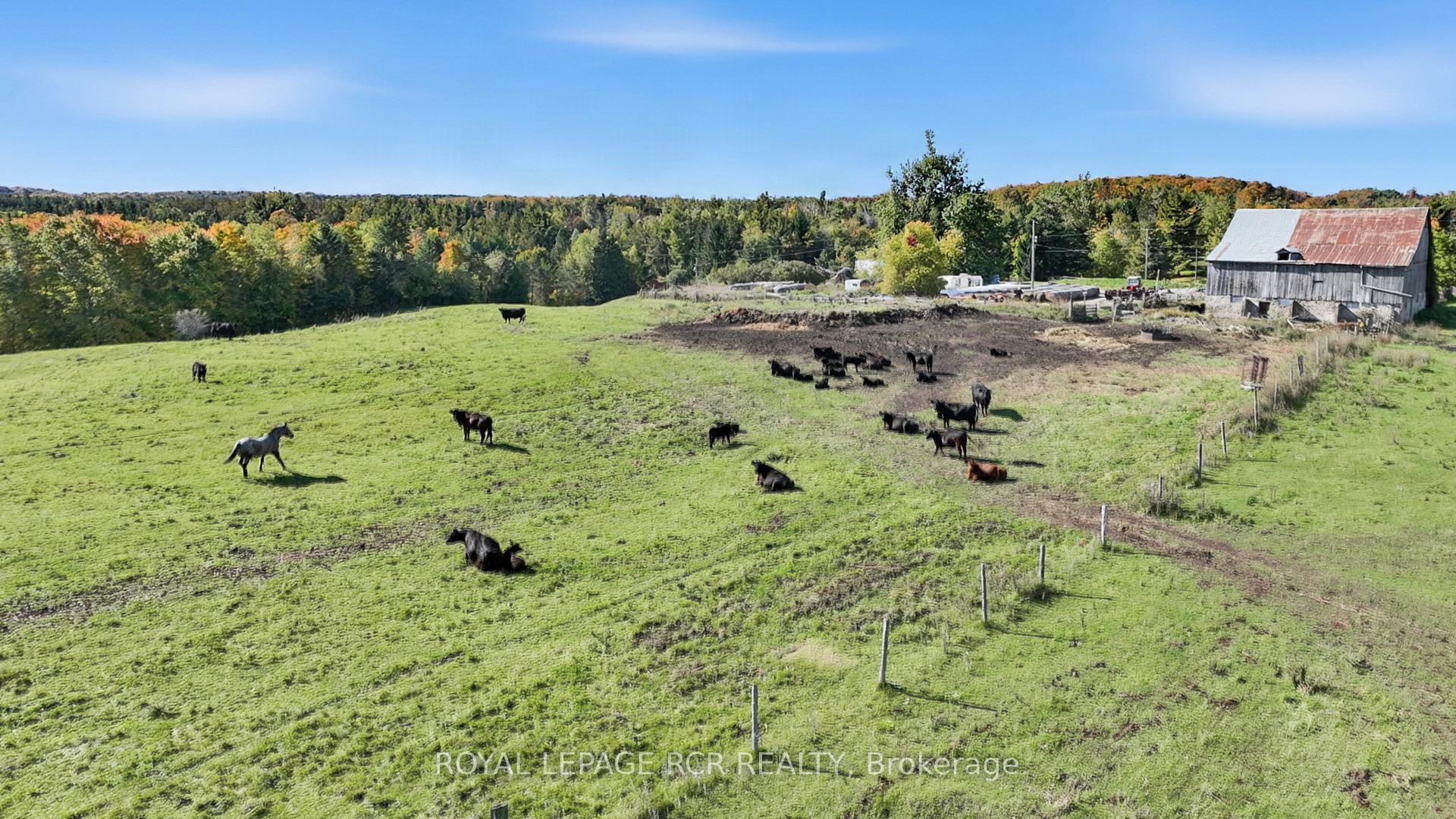 Photo 8 of 715689 1st Line, Mono, Rural Mono — HOMEH