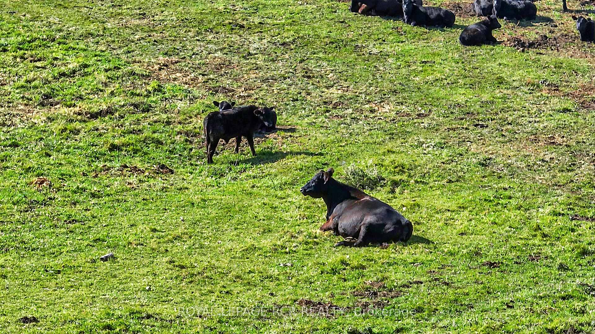 Photo 9 of 715689 1st Line, Mono, Rural Mono — HOMEH