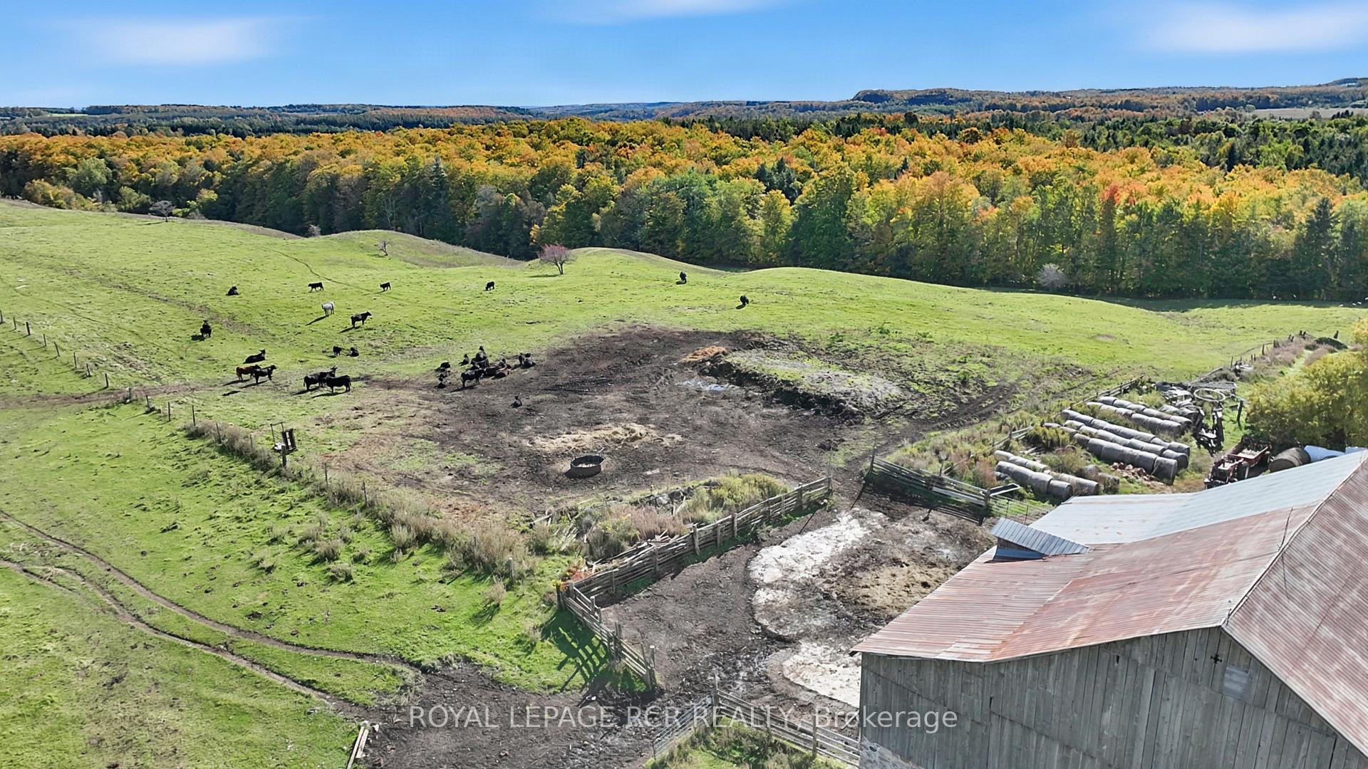 Photo 10 of 715689 1st Line, Mono, Rural Mono — HOMEH