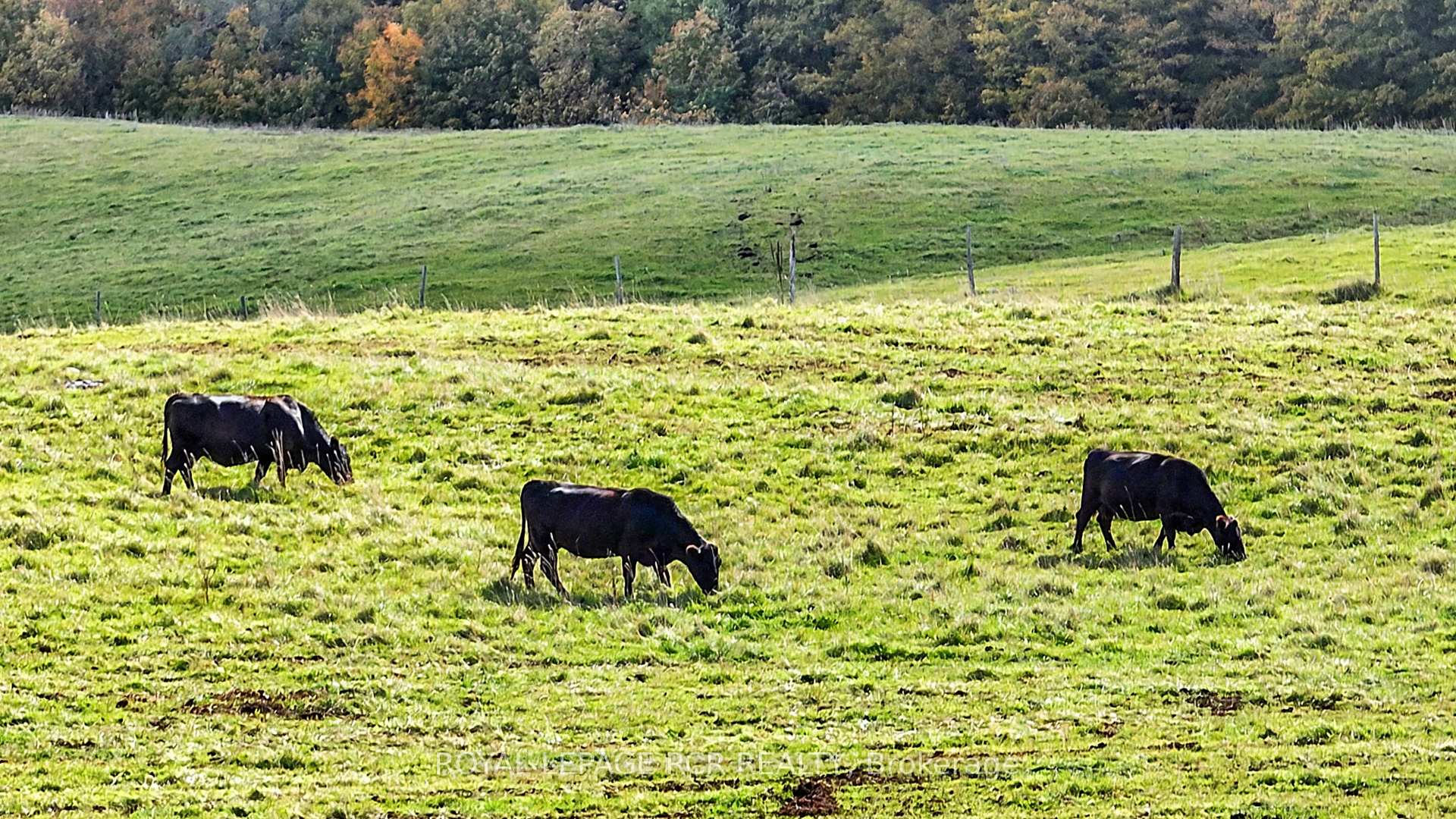 Photo 14 of 715689 1st Line, Mono, Rural Mono — HOMEH