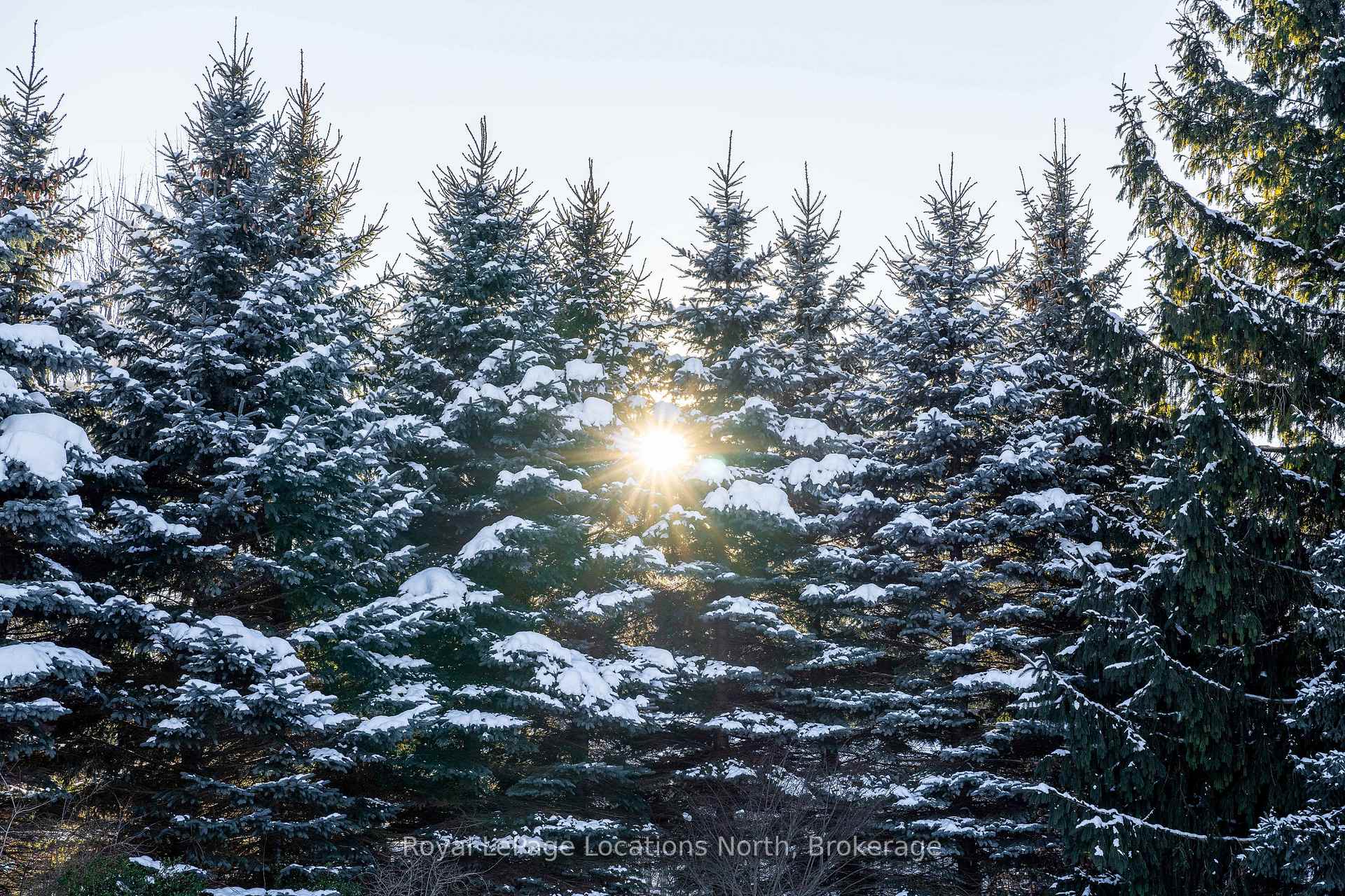 Photo 23 of 12 Evergreen Road, Collingwood — HOMEH