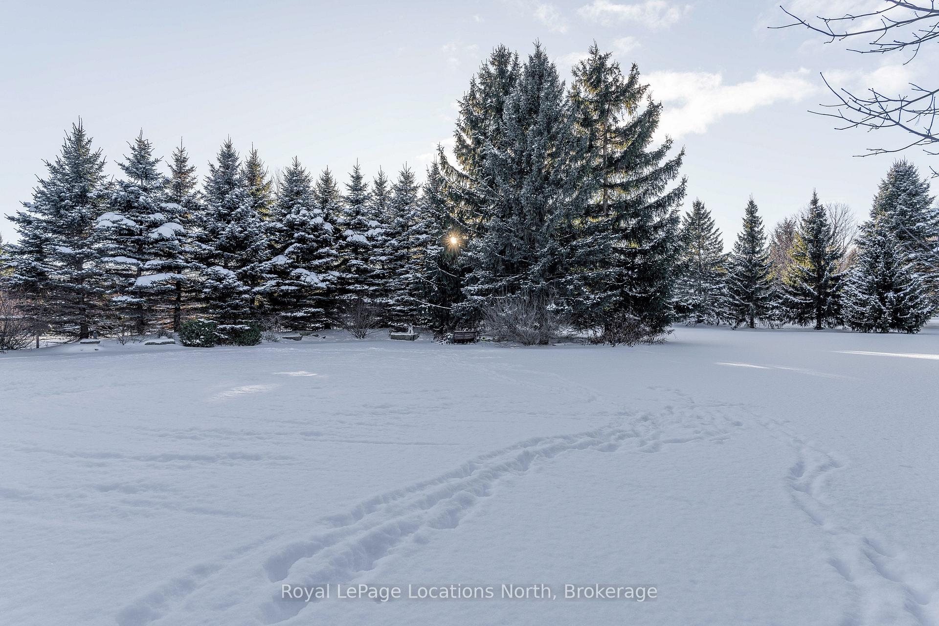 Photo 24 of 12 Evergreen Road, Collingwood — HOMEH