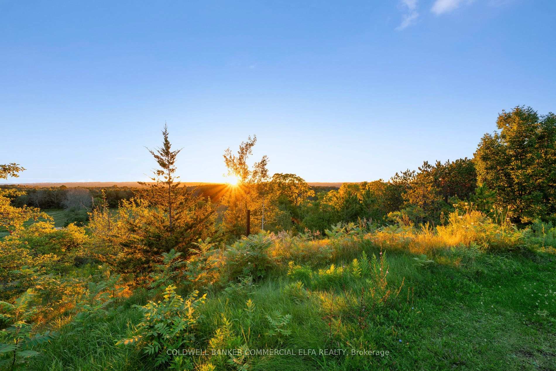 Photo 15 of 2688 14th Line, Innisfil, Gilford — HOMEH