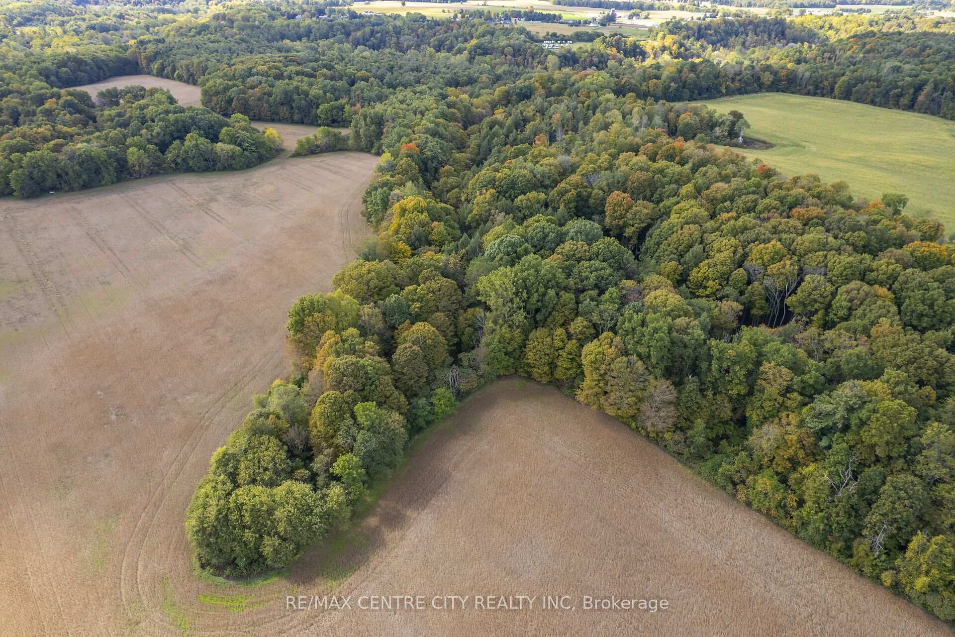 Photo 9 of PT LT 113 Culloden Road, Bayham, Rural Bayham — HOMEH