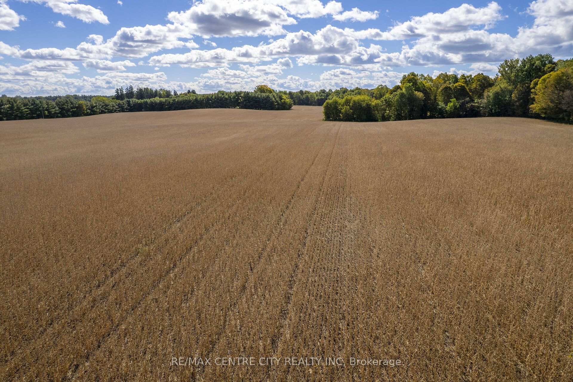 Photo 18 of PT LT 113 Culloden Road, Bayham, Rural Bayham — HOMEH