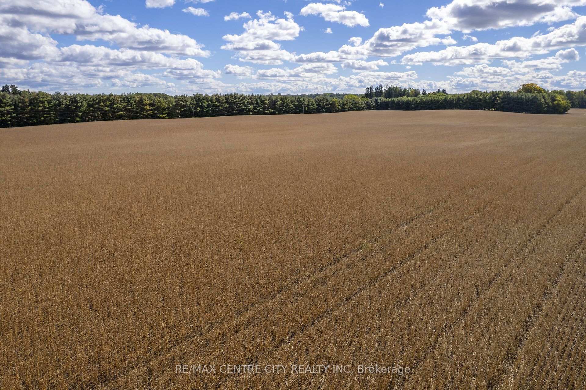 Photo 19 of PT LT 113 Culloden Road, Bayham, Rural Bayham — HOMEH
