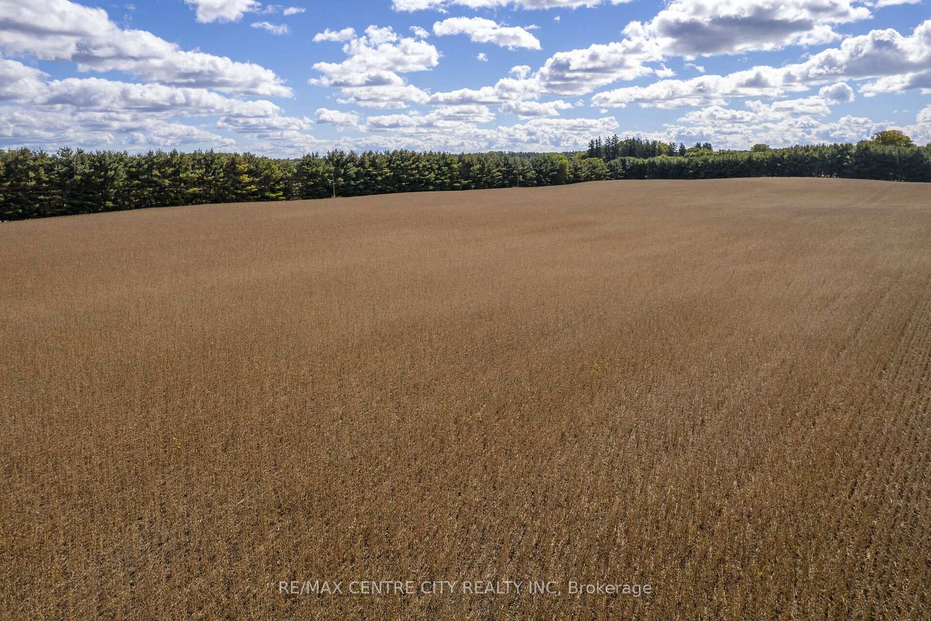Photo 20 of PT LT 113 Culloden Road, Bayham, Rural Bayham — HOMEH