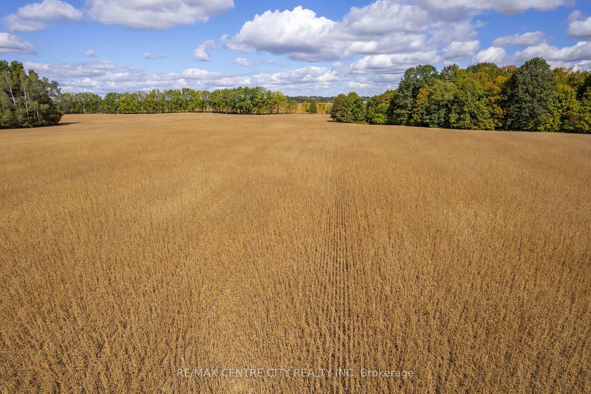 Photo 21 of PT LT 113 Culloden Road, Bayham, Rural Bayham — HOMEH