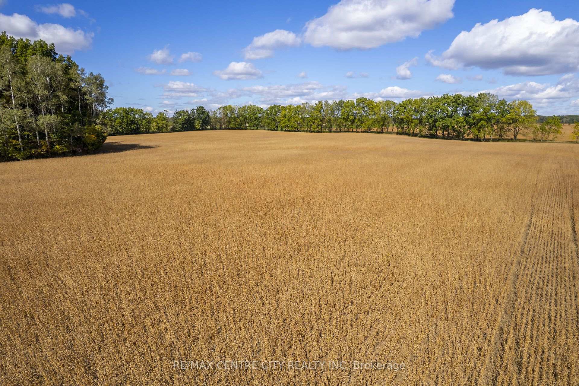 Photo 22 of PT LT 113 Culloden Road, Bayham, Rural Bayham — HOMEH