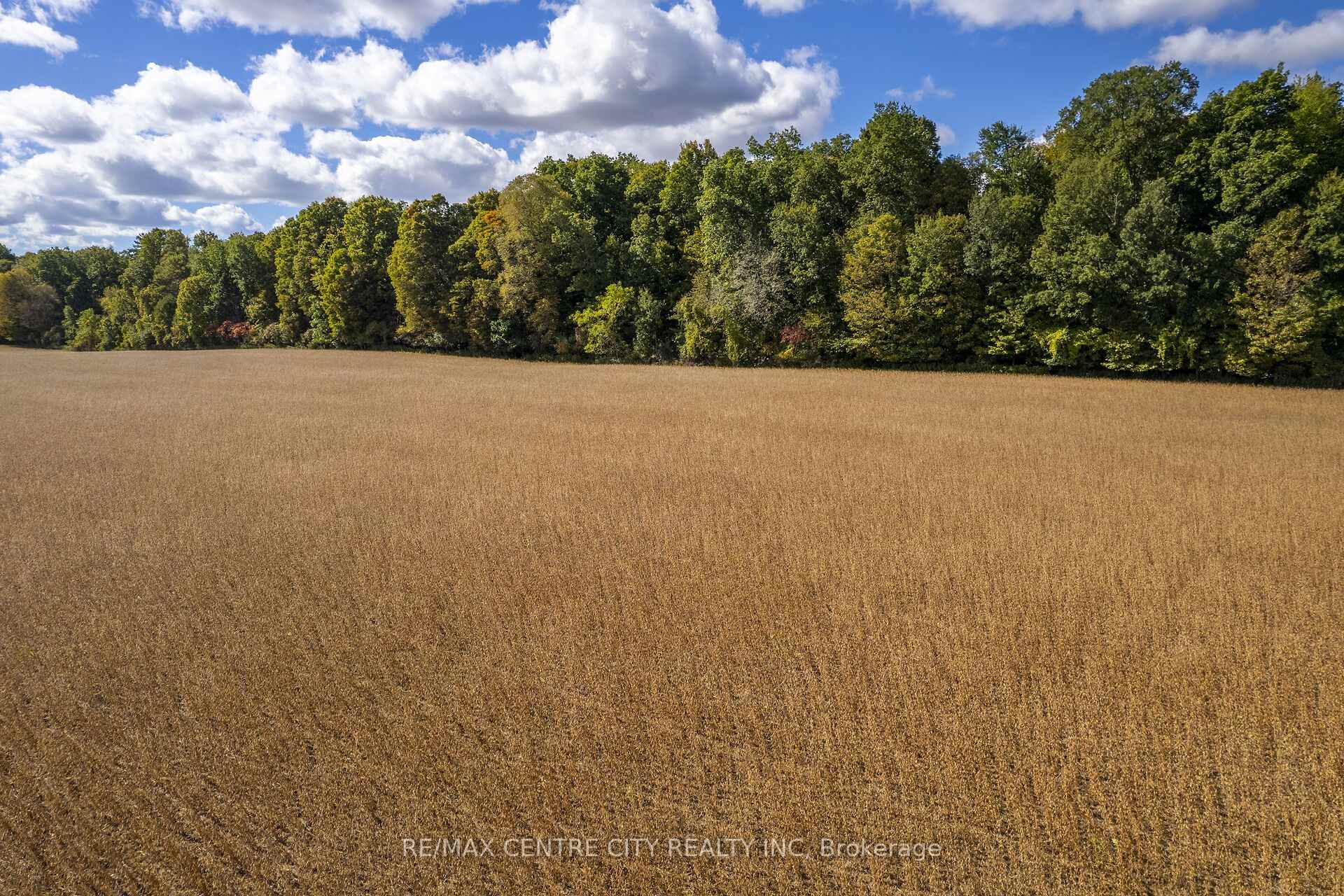 Photo 23 of PT LT 113 Culloden Road, Bayham, Rural Bayham — HOMEH