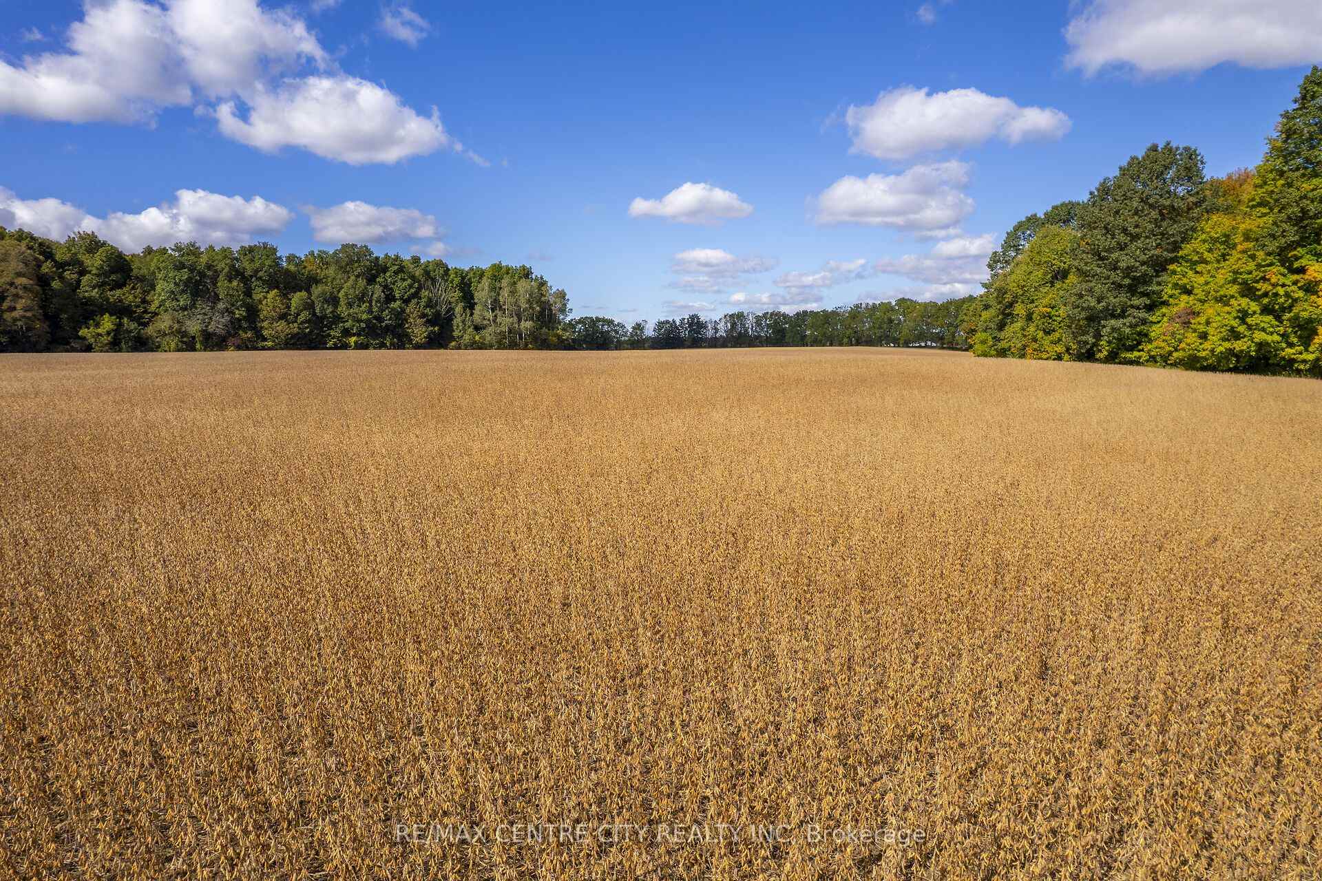 Photo 30 of PT LT 113 Culloden Road, Bayham, Rural Bayham — HOMEH