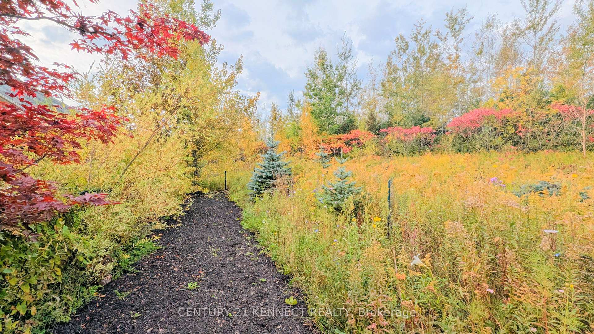 Photo 36 of 365 Old Colony Road, Richmond Hill, Oak Ridges Lake Wilcox — HOMEH