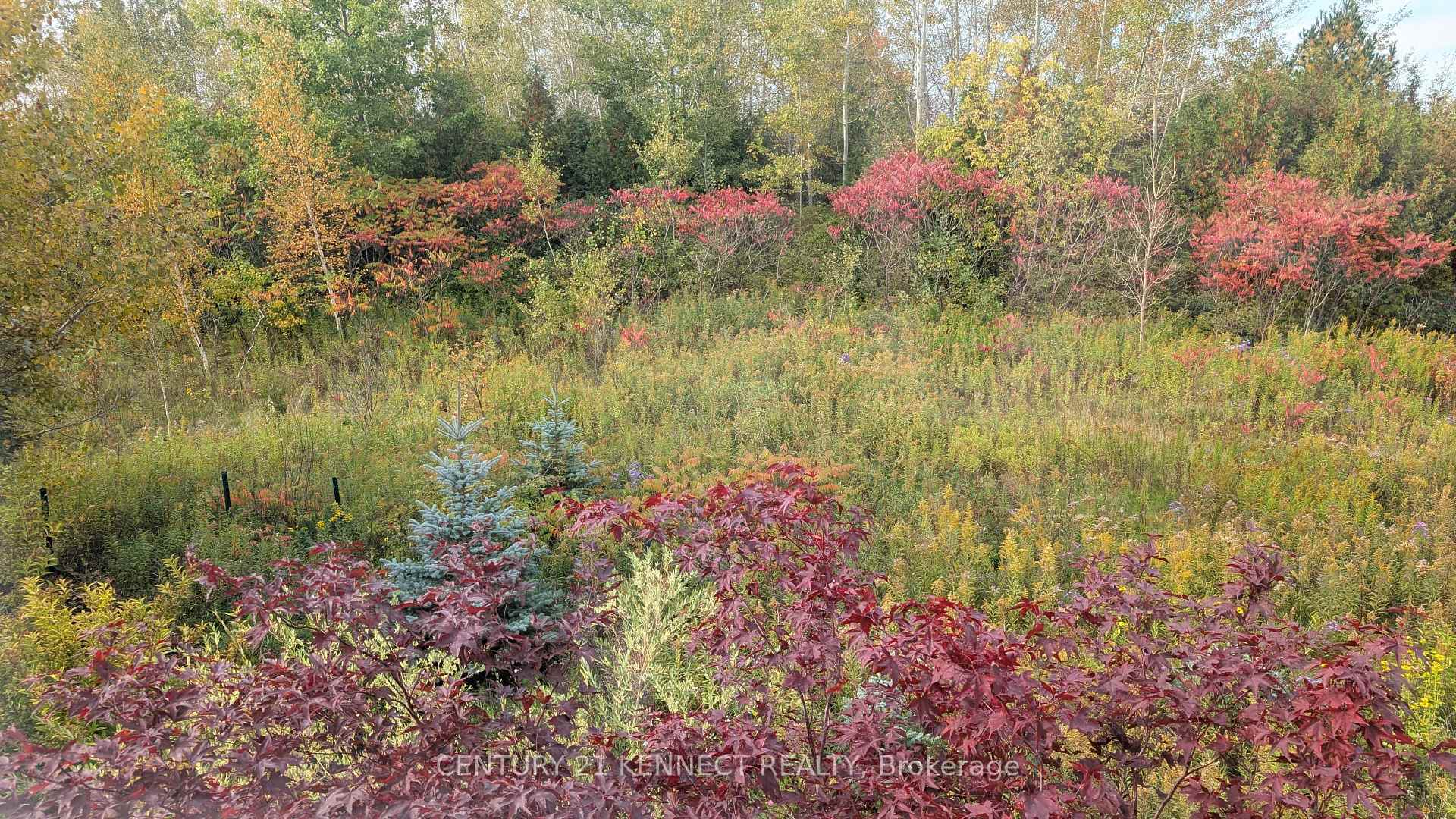 Photo 37 of 365 Old Colony Road, Richmond Hill, Oak Ridges Lake Wilcox — HOMEH