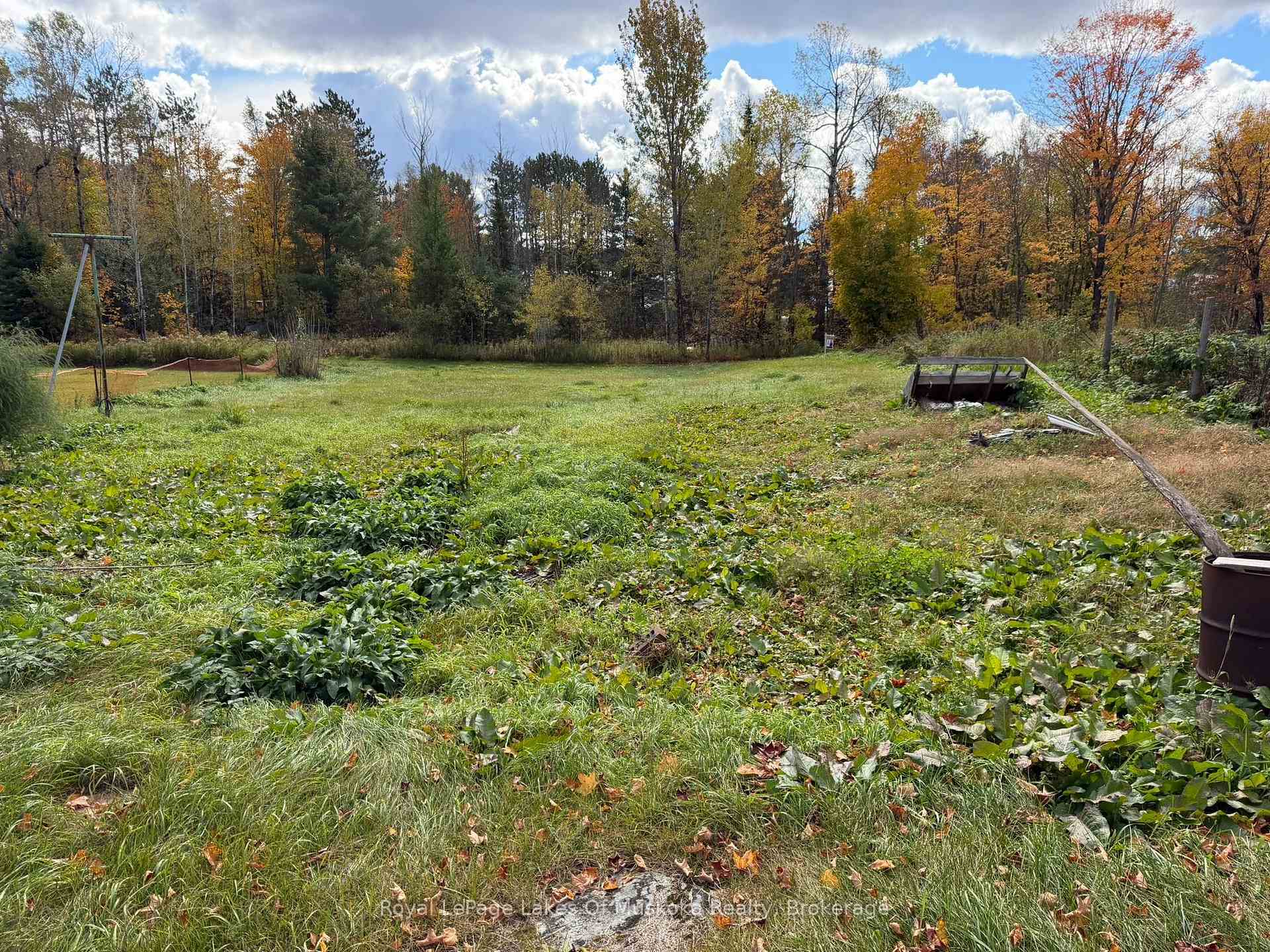 Photo 13 of 4673 518 Highway, McMurrich/Monteith, Bear Lake — HOMEH