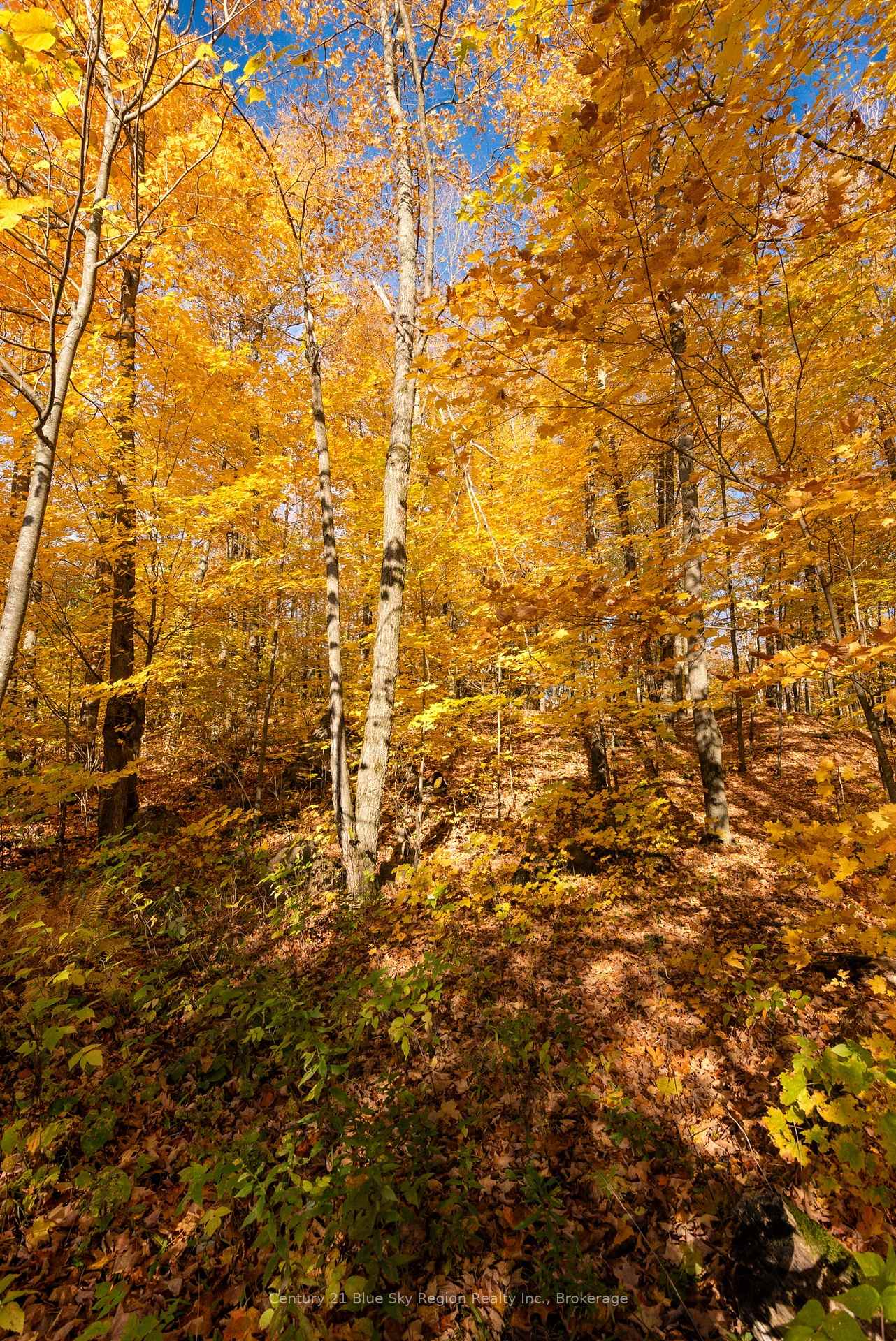 Photo 17 of 365 Sunnyside Road, Bonfield — HOMEH