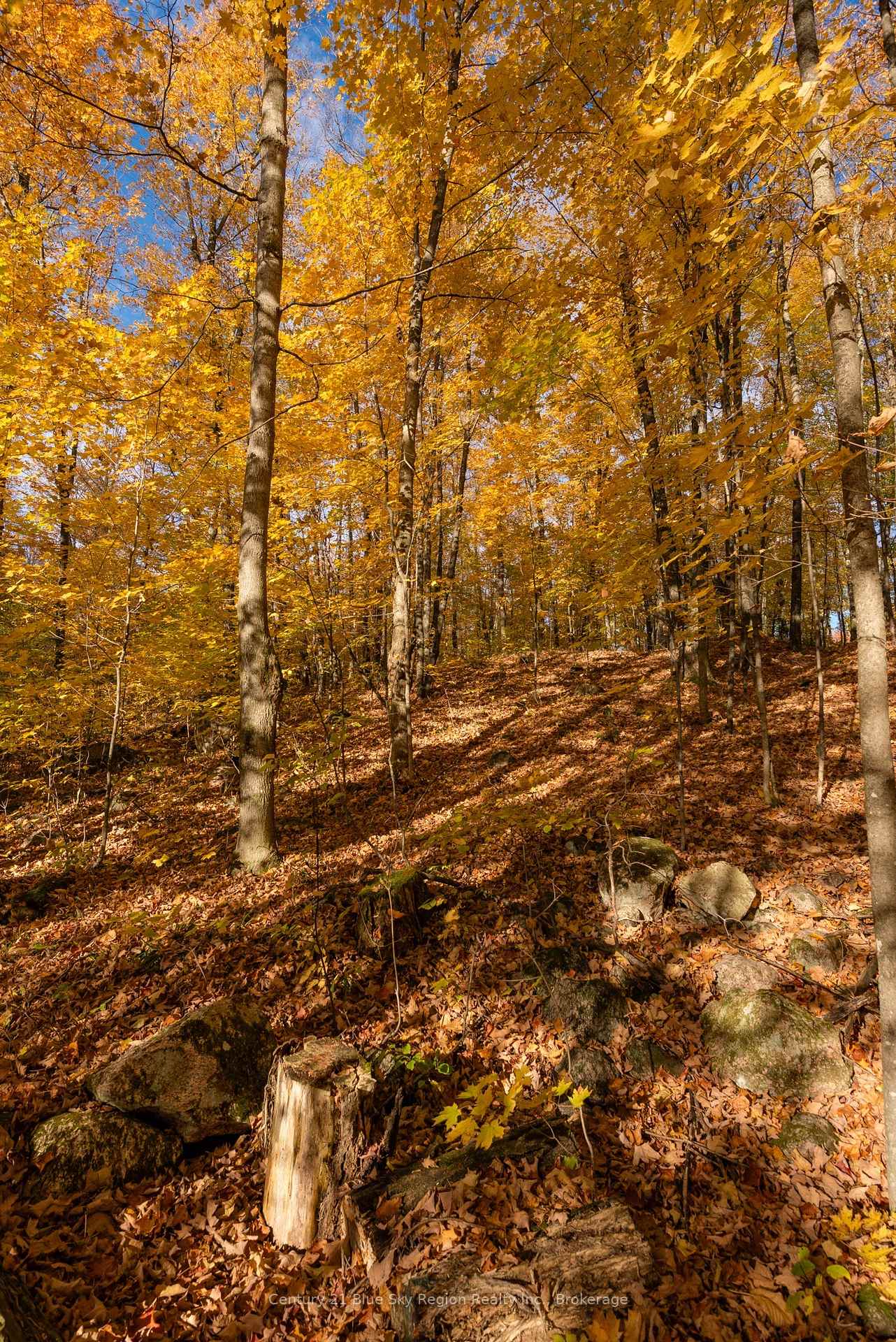 Photo 18 of 365 Sunnyside Road, Bonfield — HOMEH