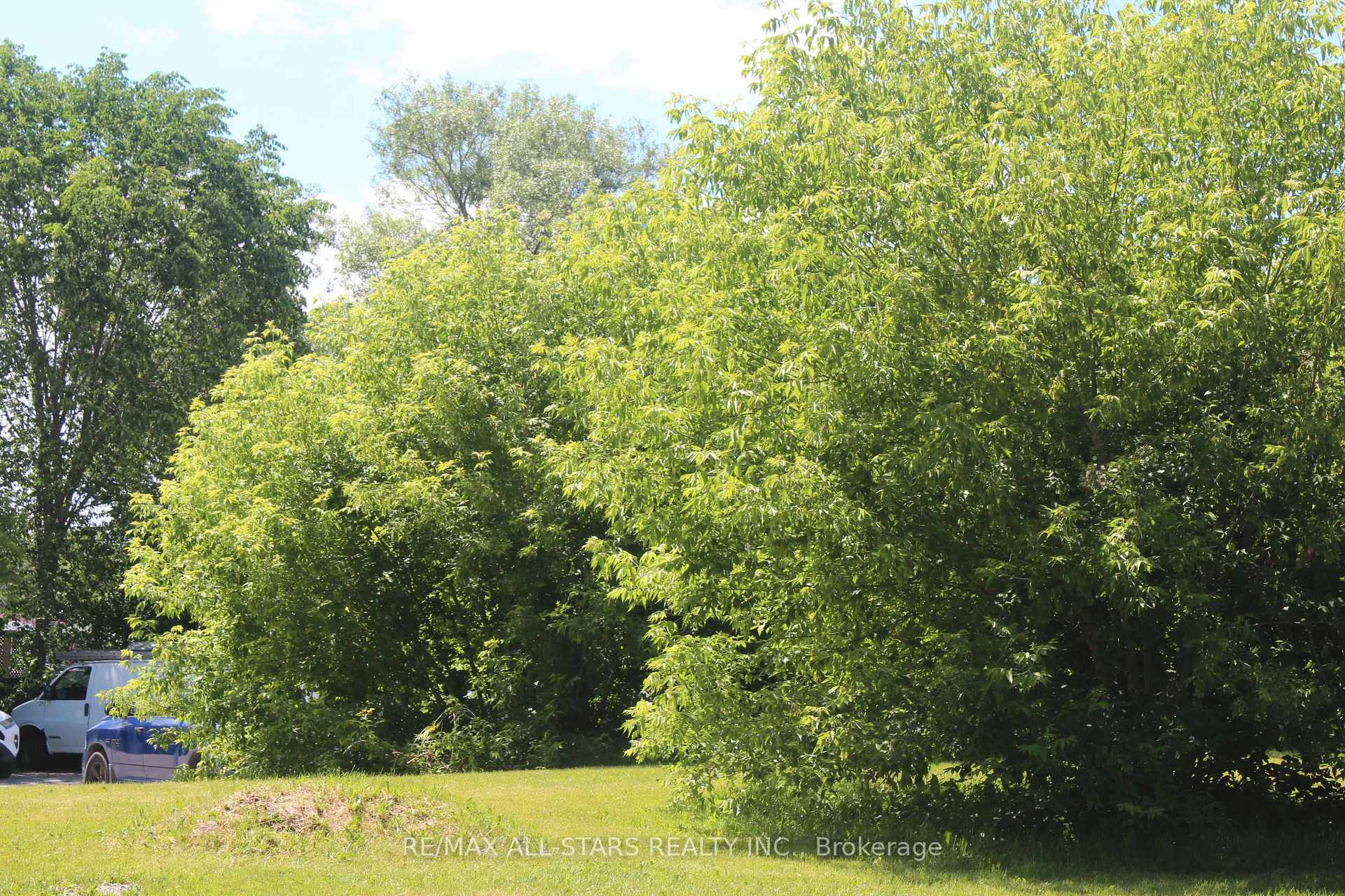 Photo 10 of 182 Frederick Street, Georgina, Keswick North — HOMEH