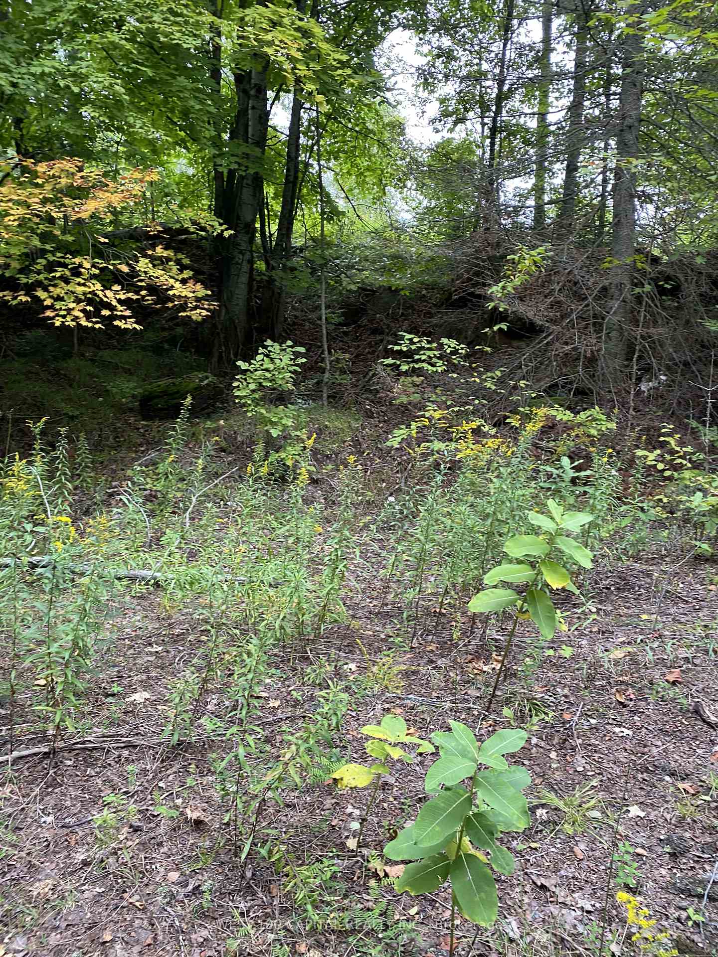 Photo of 6055 Hwy 620