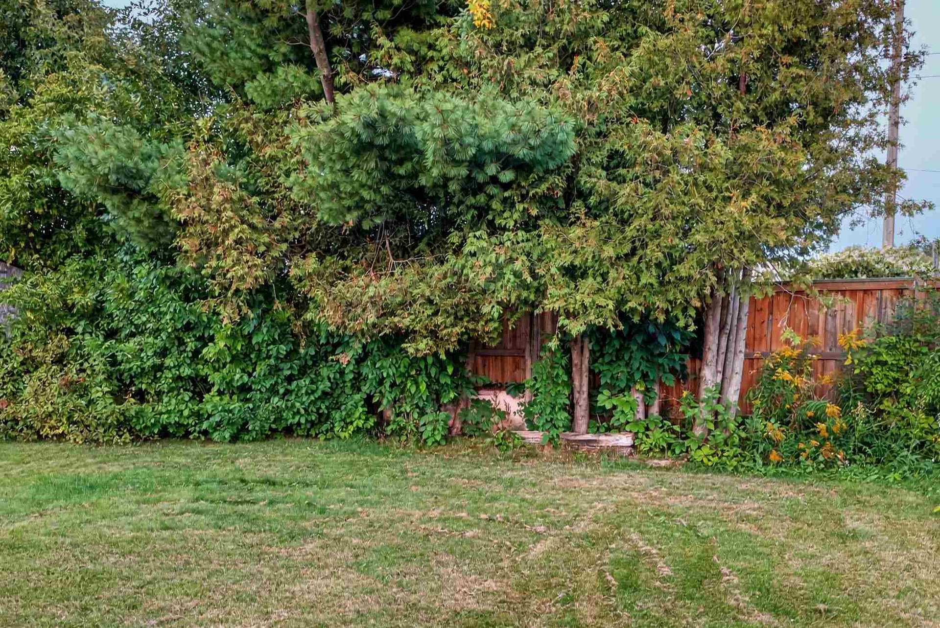 Photo 7 of 702 Lennox Avenue, Sault Ste Marie, Ward 4 — HOMEH