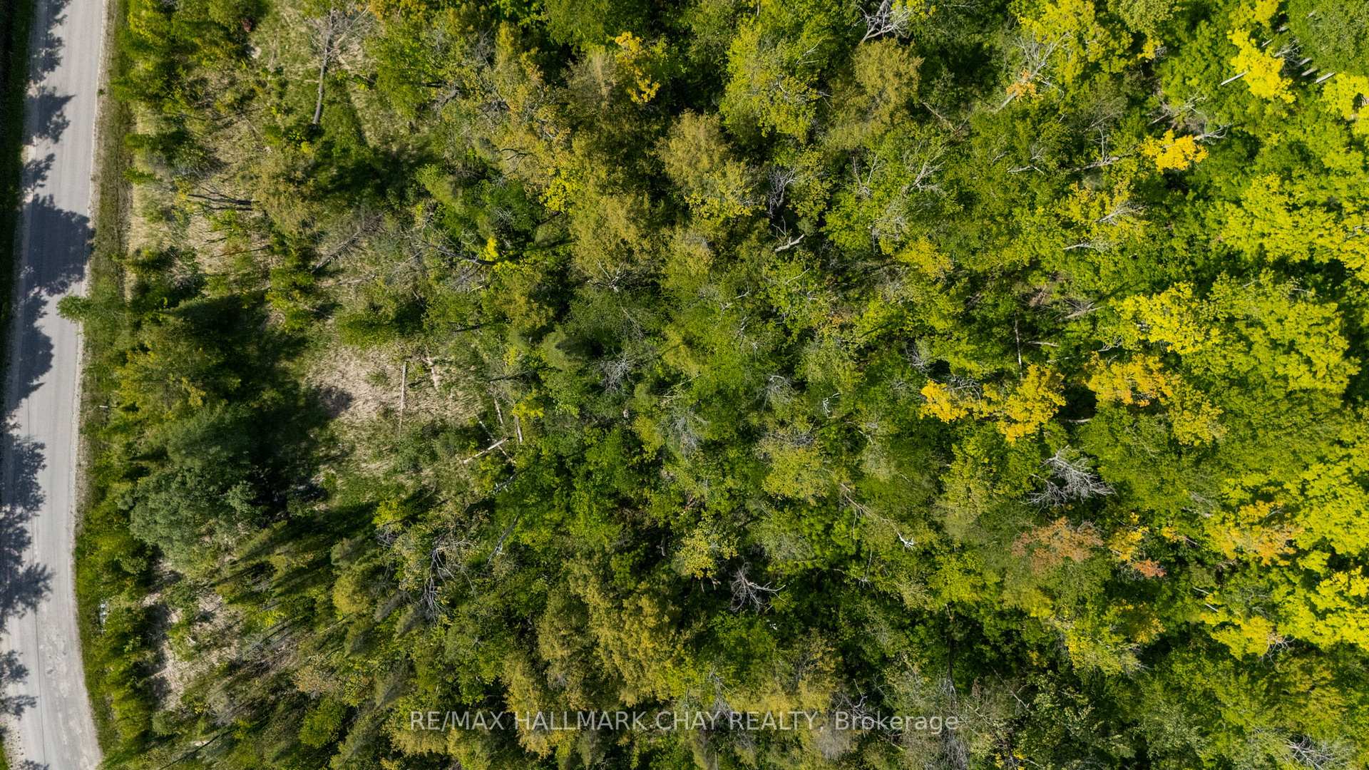 Photo 3 of 39 Meadows Avenue, Tay, Rural Tay — HOMEH