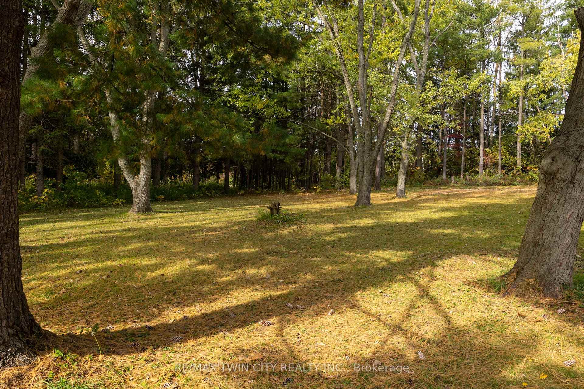 Photo 11 of 84 Etonia Road, Brant, Burford — HOMEH