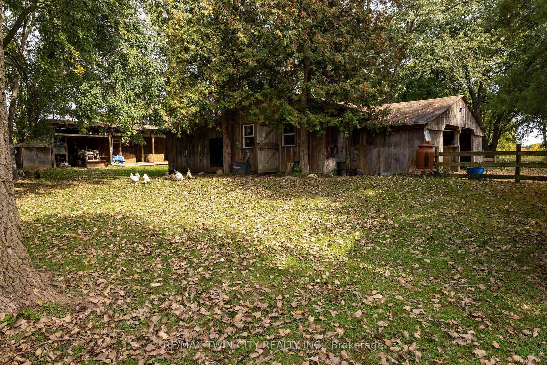 Photo 14 of 84 Etonia Road, Brant, Burford — HOMEH