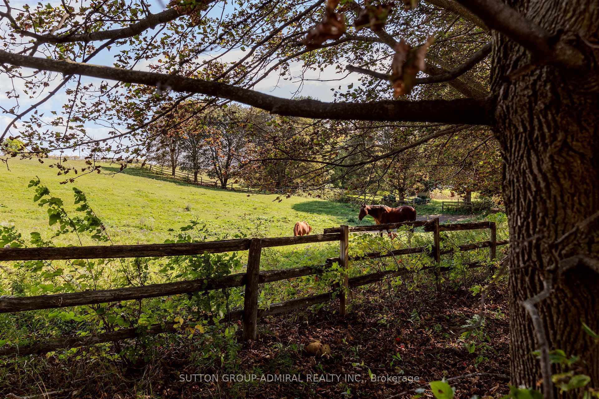 Photo 35 of 8400 19th Sideroad, King, Schomberg — HOMEH
