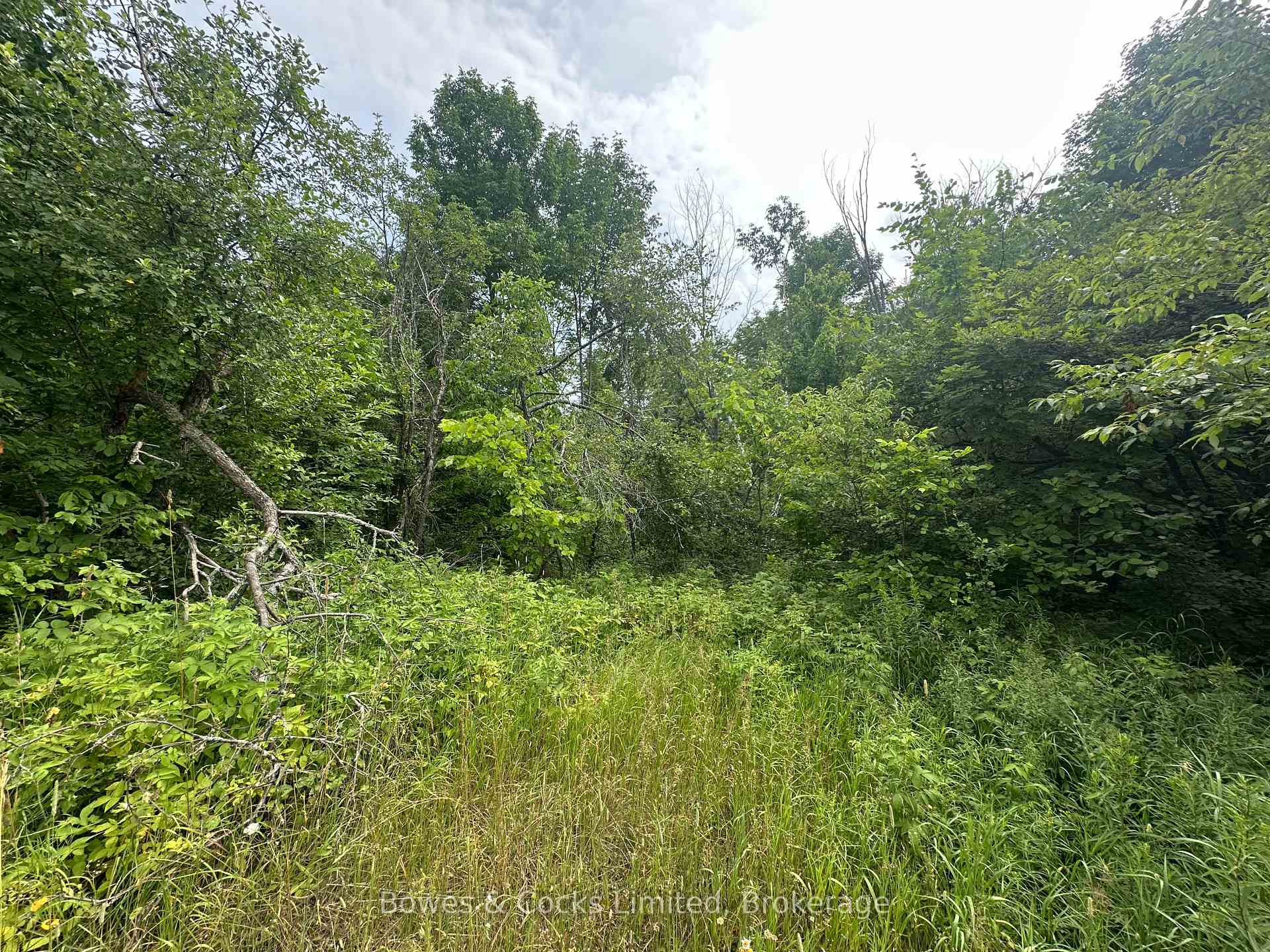 Photo 11 of Centre Line Road, Madoc — HOMEH