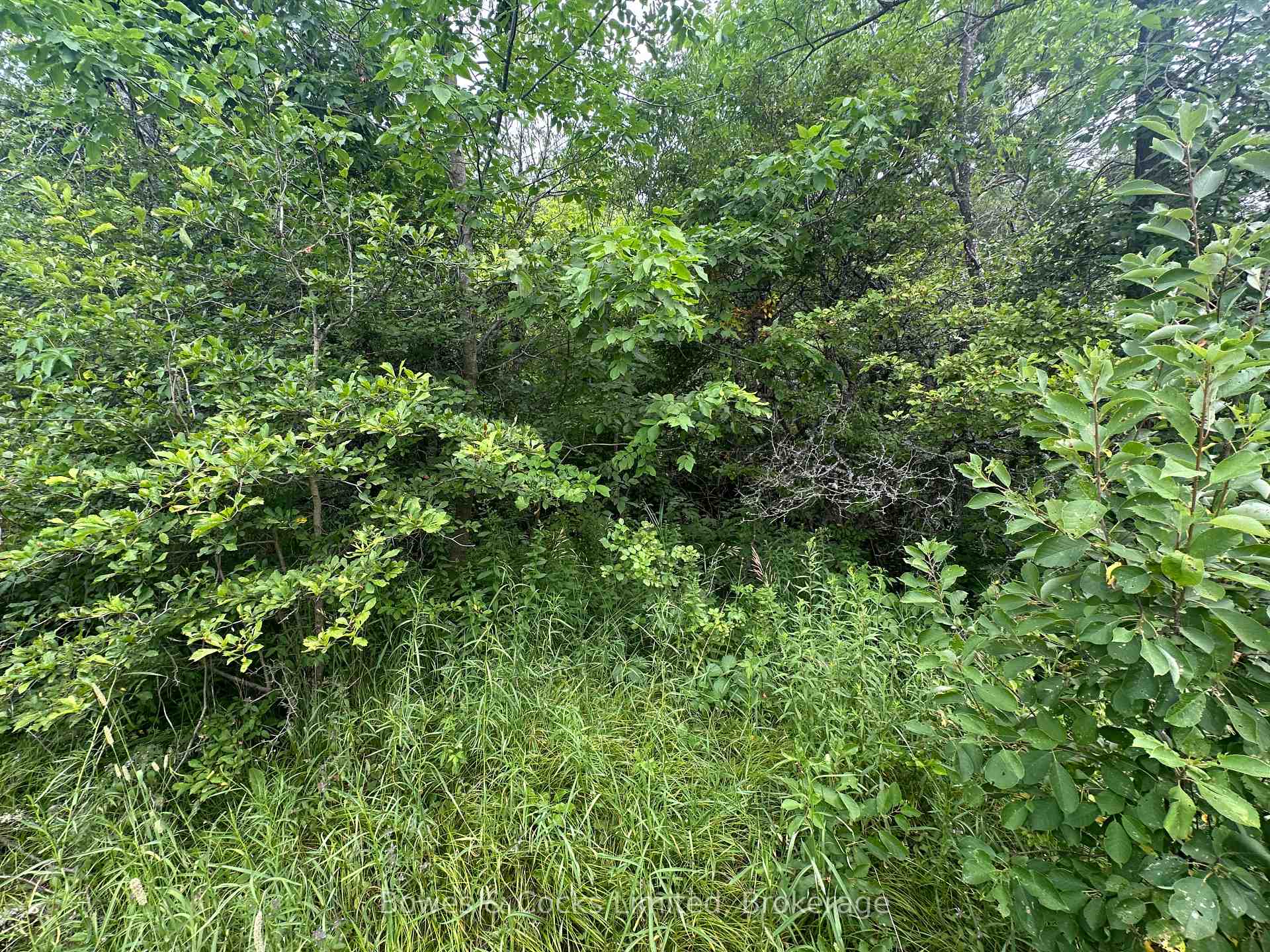Photo 12 of Centre Line Road, Madoc — HOMEH