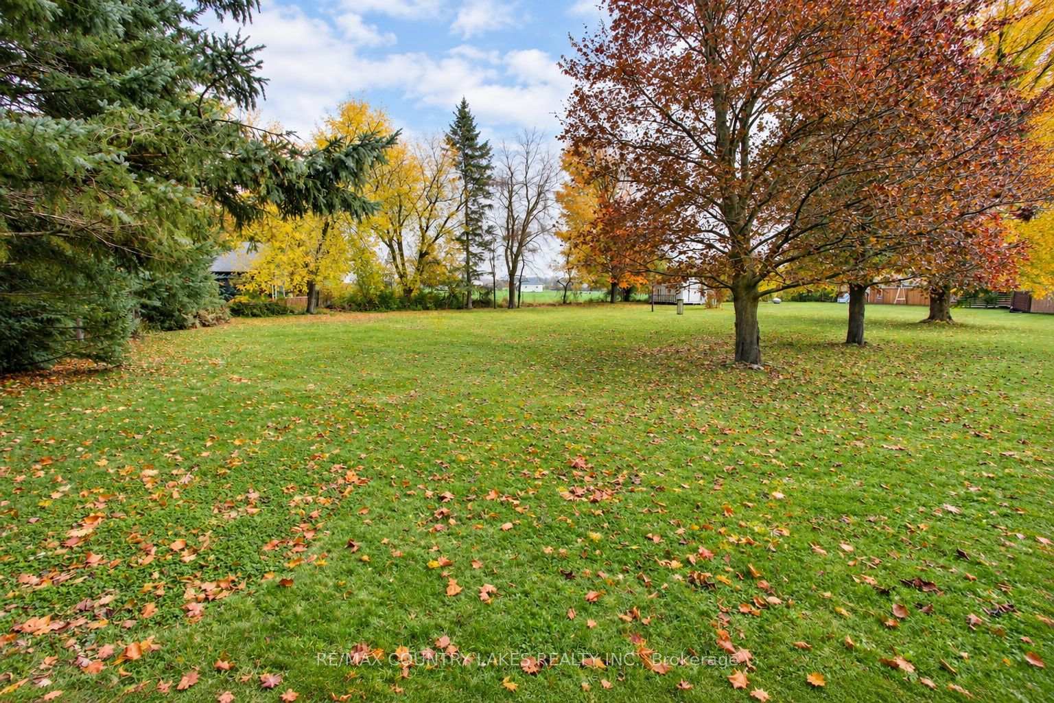 Photo 3 of 1598 County Rd 46, Kawartha Lakes, Woodville — HOMEH