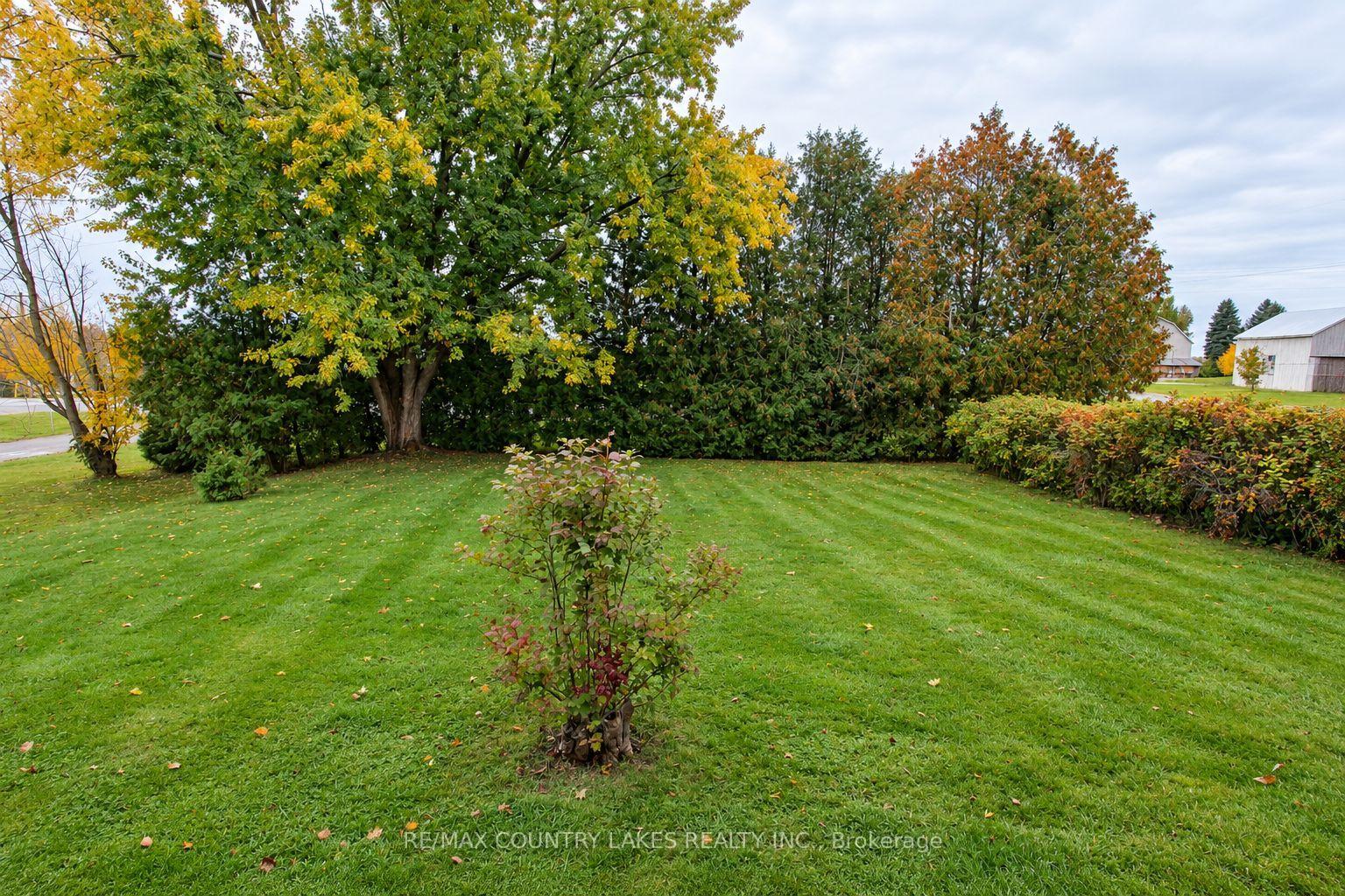 Photo 7 of 1598 County Rd 46, Kawartha Lakes, Woodville — HOMEH