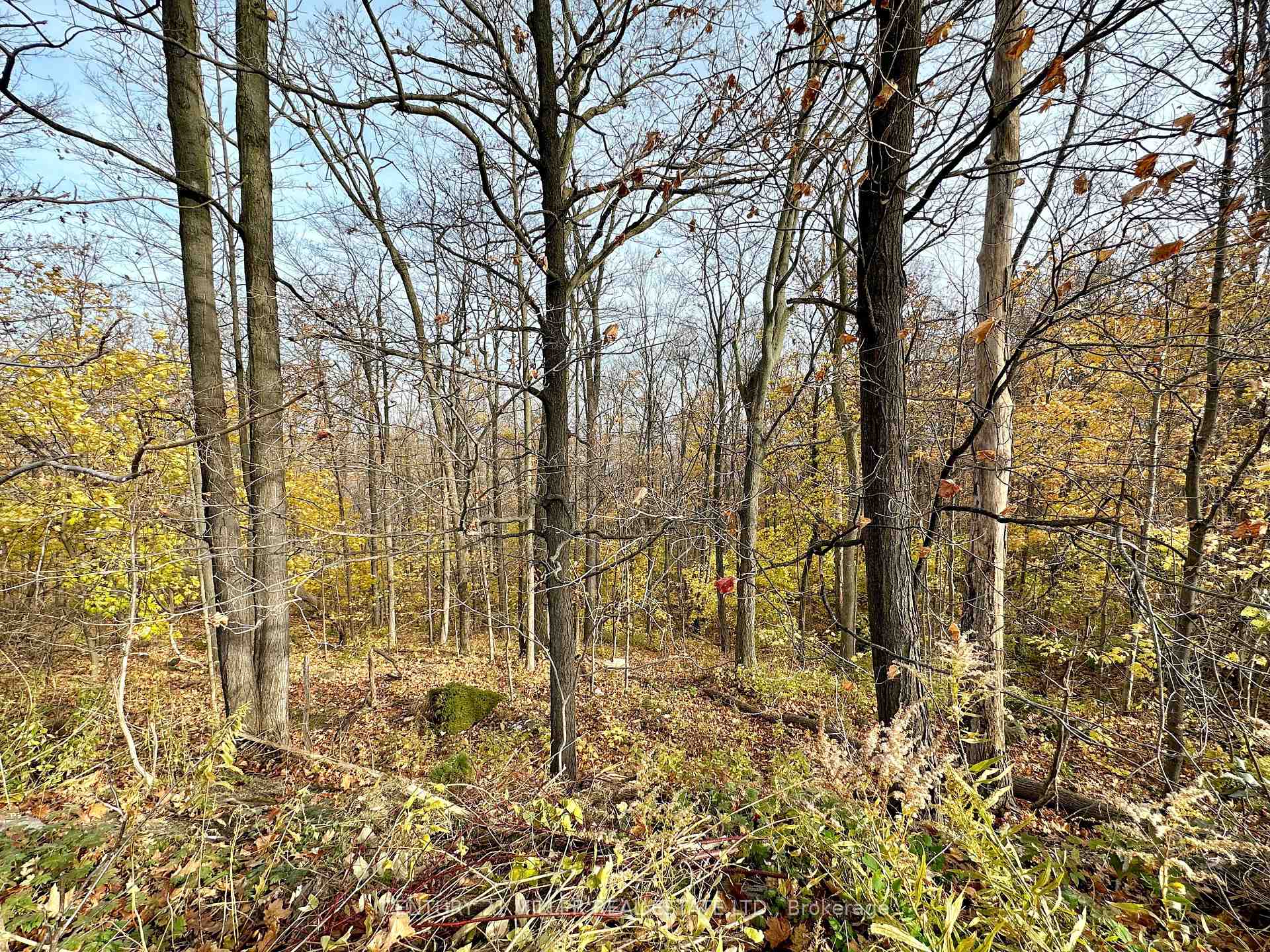 Photo 19 of 49 Ridge Road E, Grimsby, Grimsby Escarpment — HOMEH