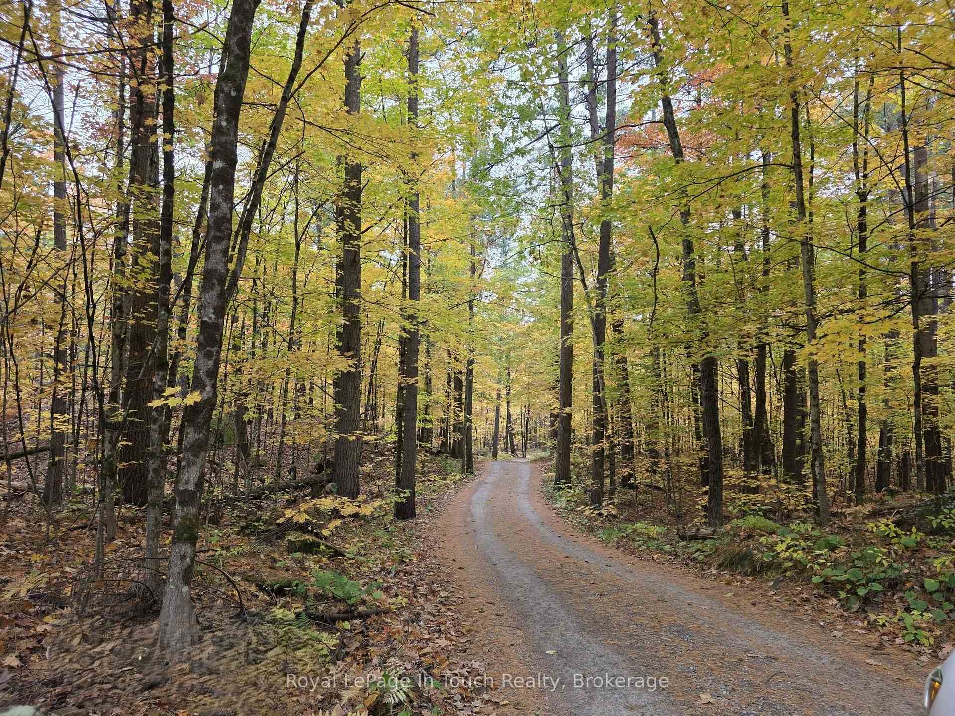 Photo 45 of 2021 Beaver Dam Road, Severn, Rural Severn — HOMEH