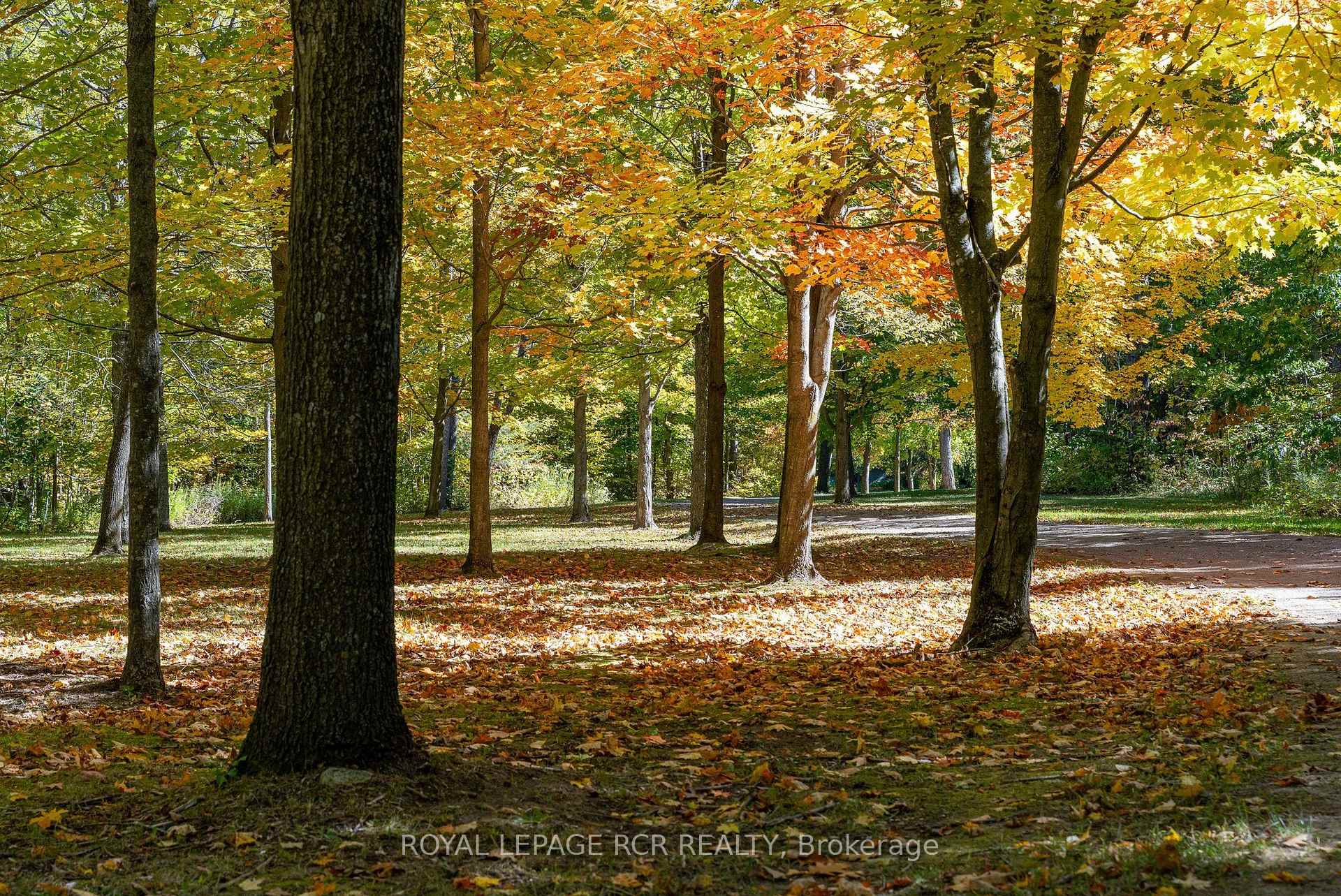 Photo 42 of 718157 1ST Line E, Mulmur, Rural Mulmur — HOMEH