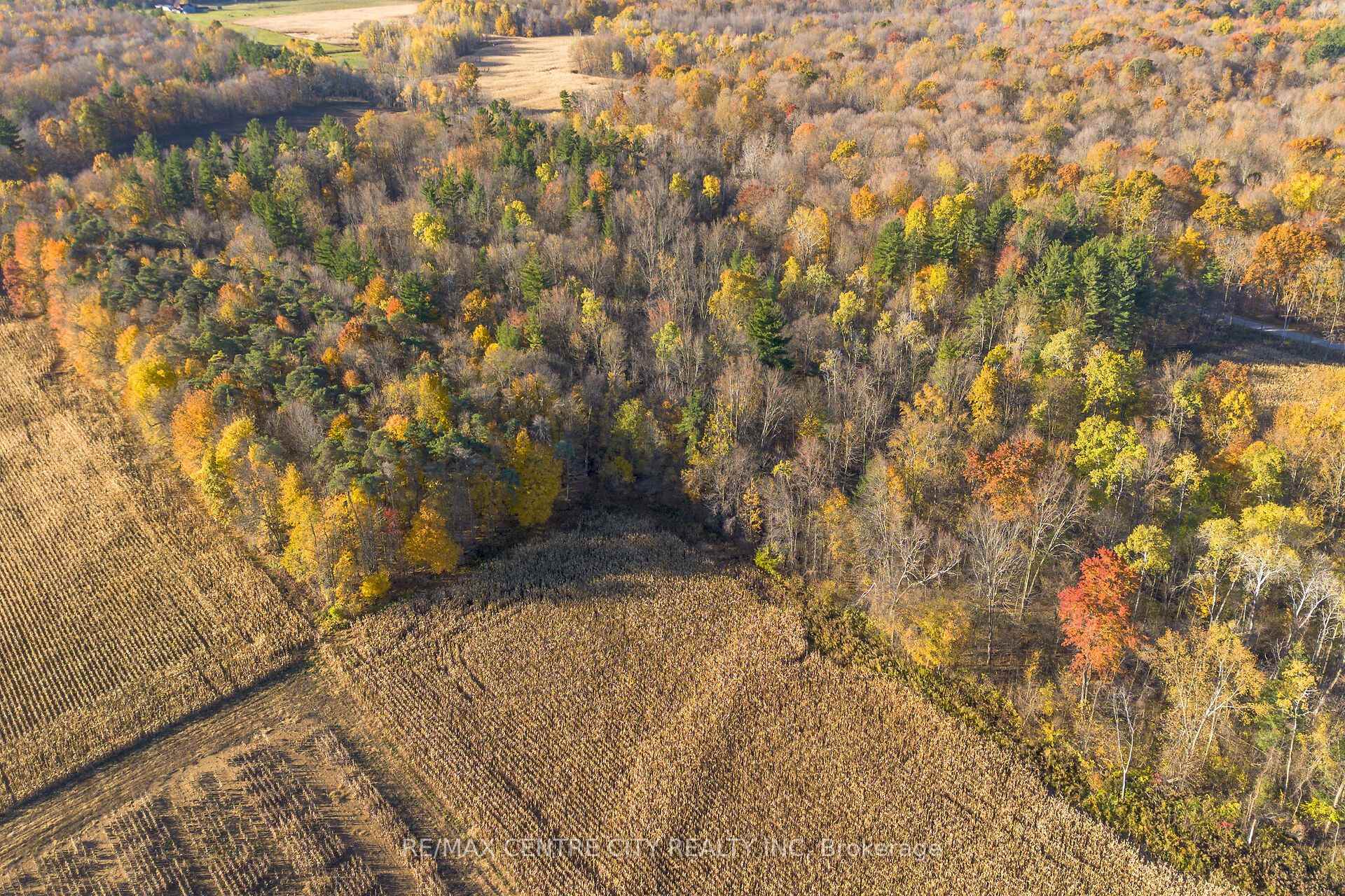 Photo 13 of 8916 Coyle Road, Bayham, Rural Bayham — HOMEH