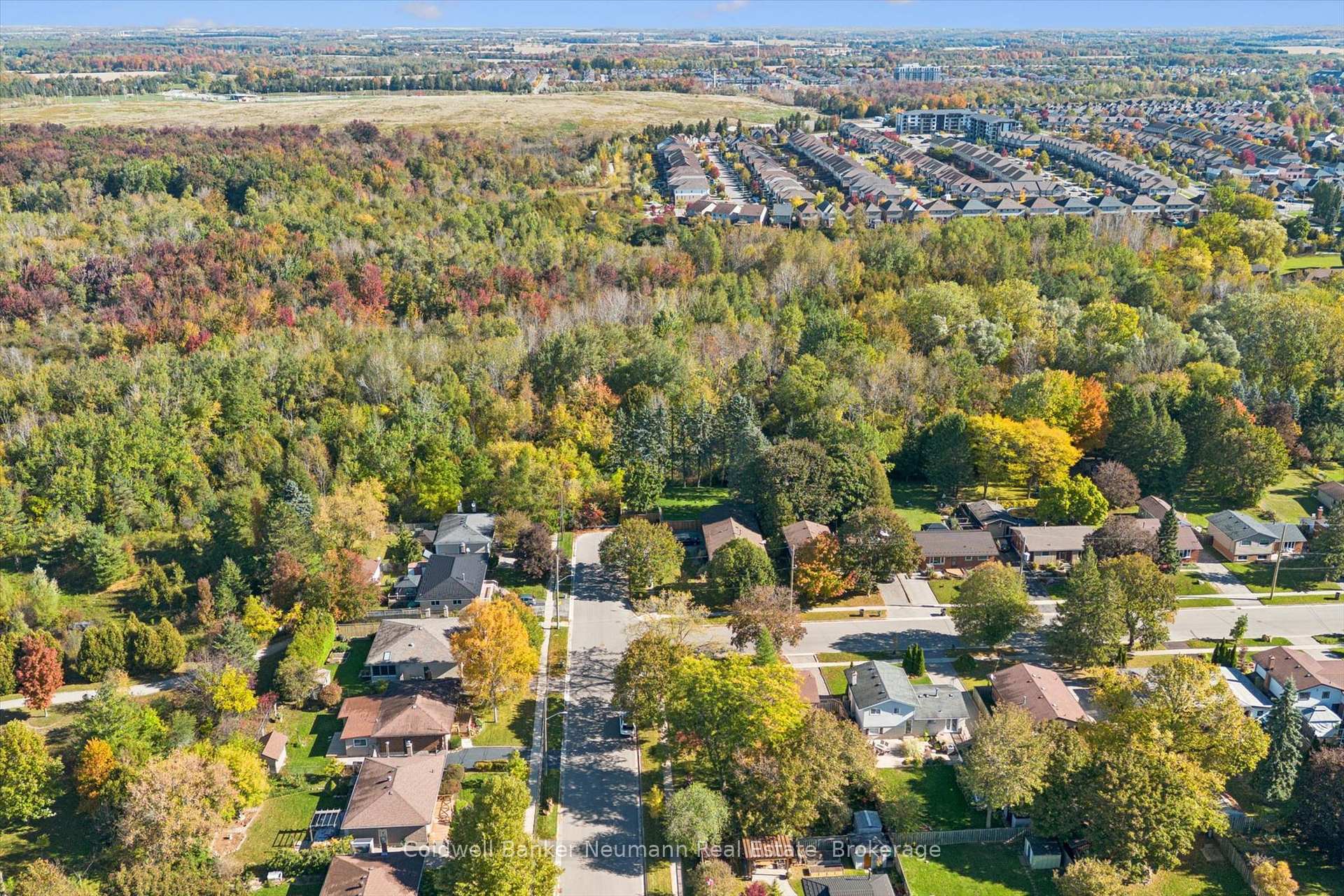Photo 47 of 22 Carter Drive, Guelph, Grange Road — HOMEH