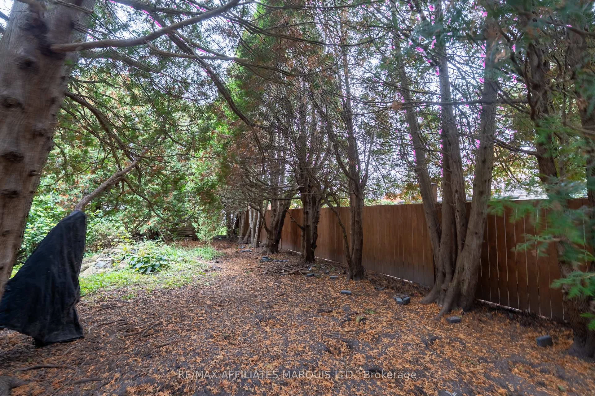 Photo 28 of 60 Maple Street, South Stormont, Ingleside — HOMEH