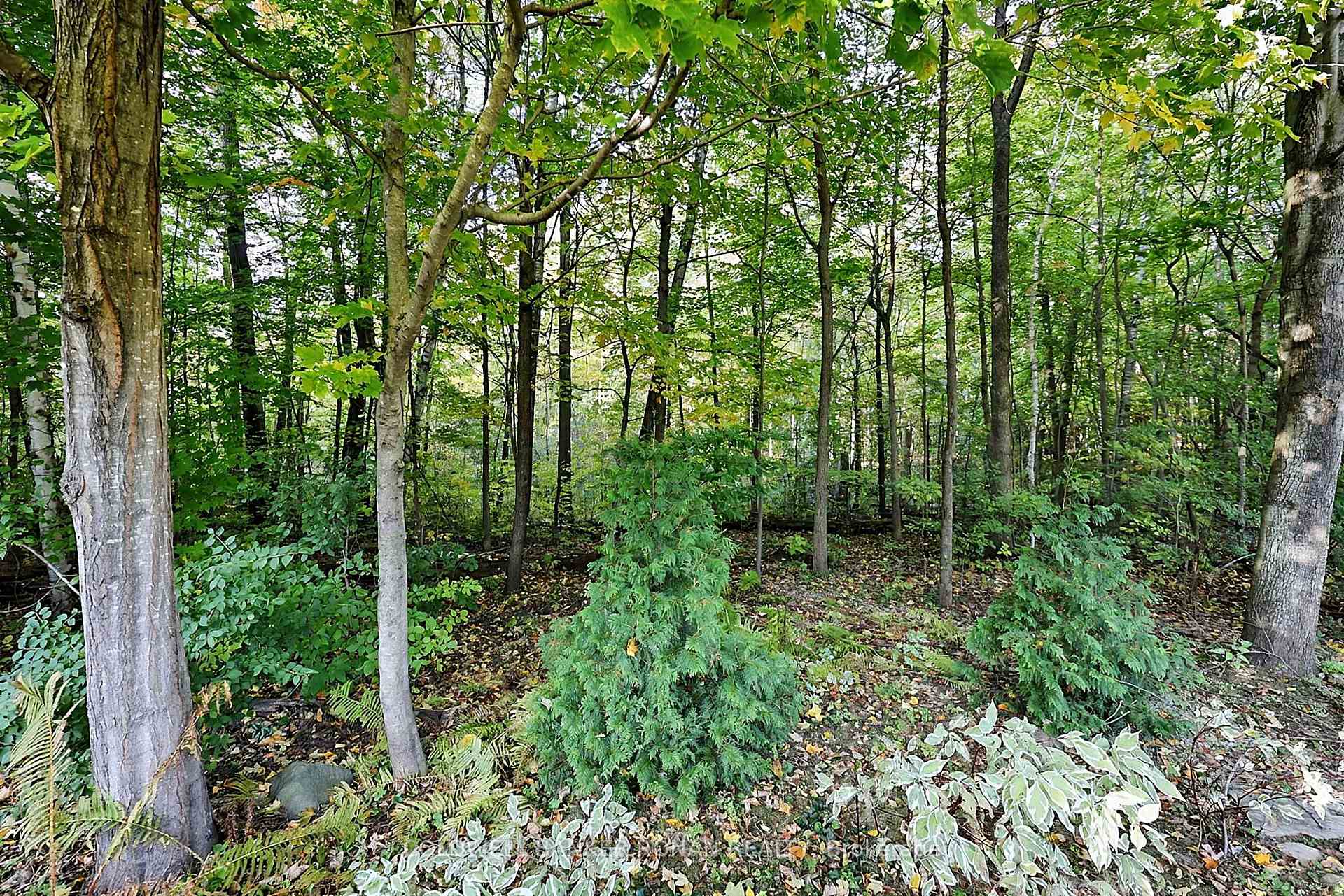Photo 36 of 5 Hilliard Court, Caledon, Caledon East — HOMEH