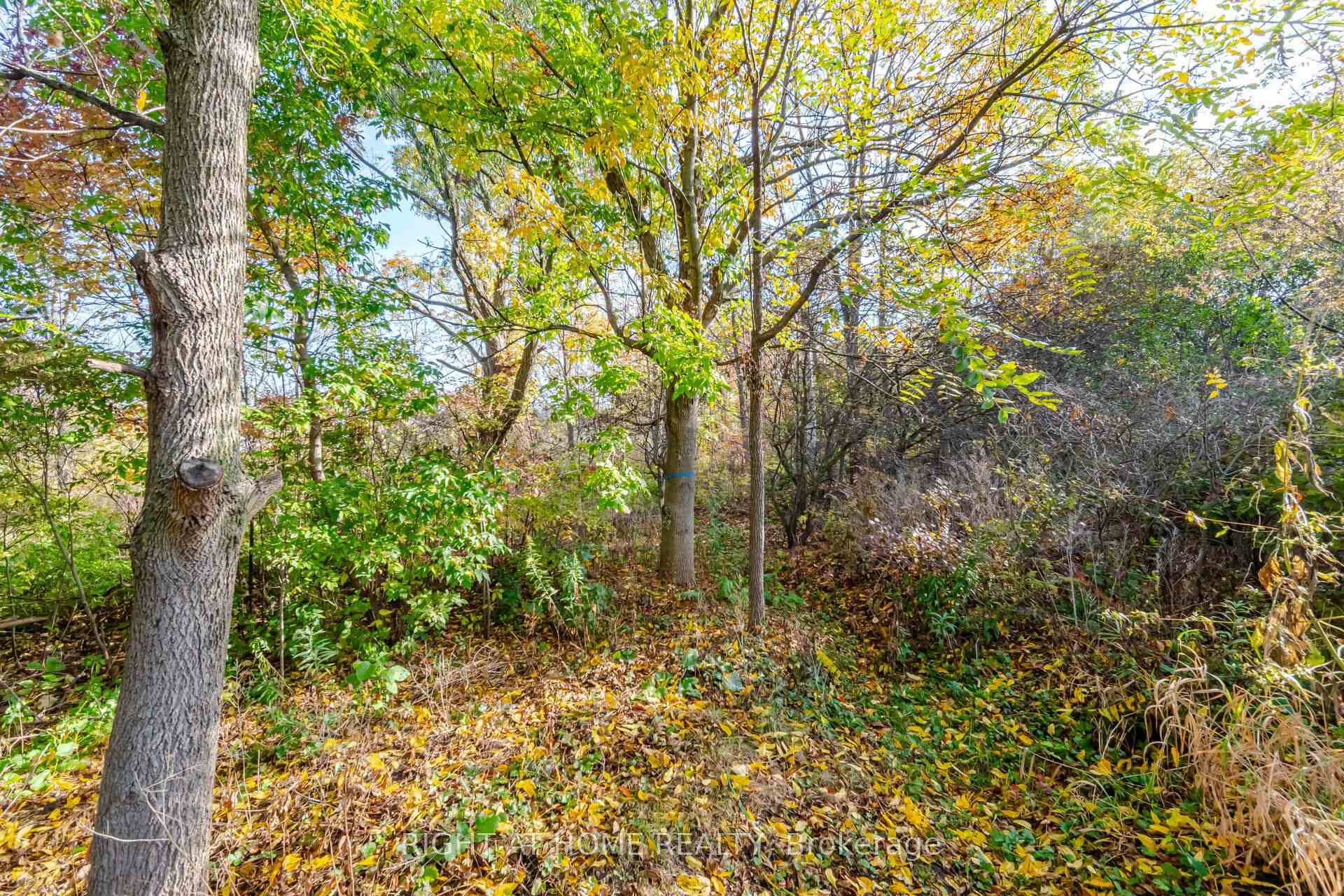 Photo 54 of 4089 Medland Drive, Burlington, Rose — HOMEH