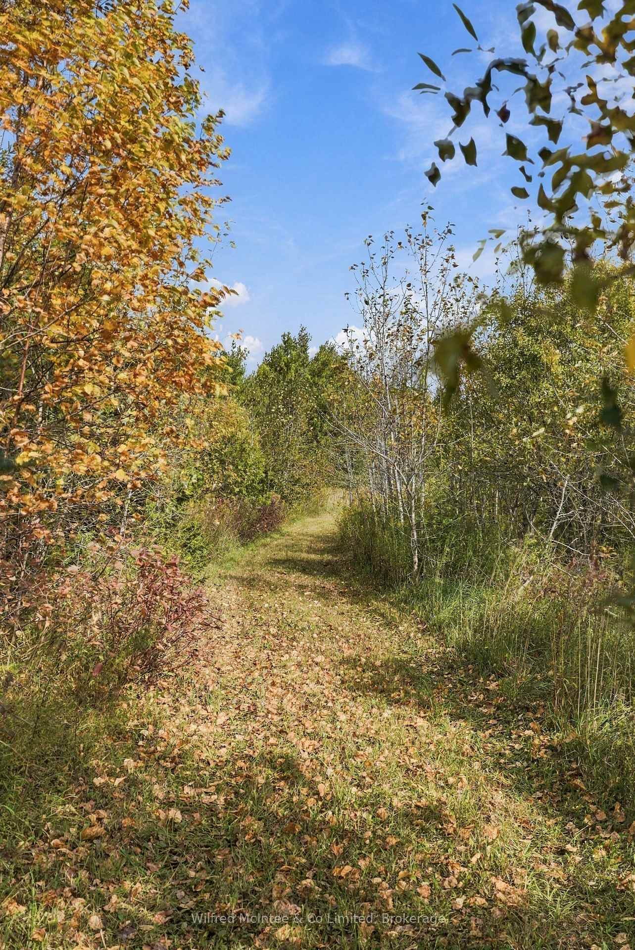 Photo 36 of 764059 240 Side Road, Melancthon, Rural Melancthon — HOMEH