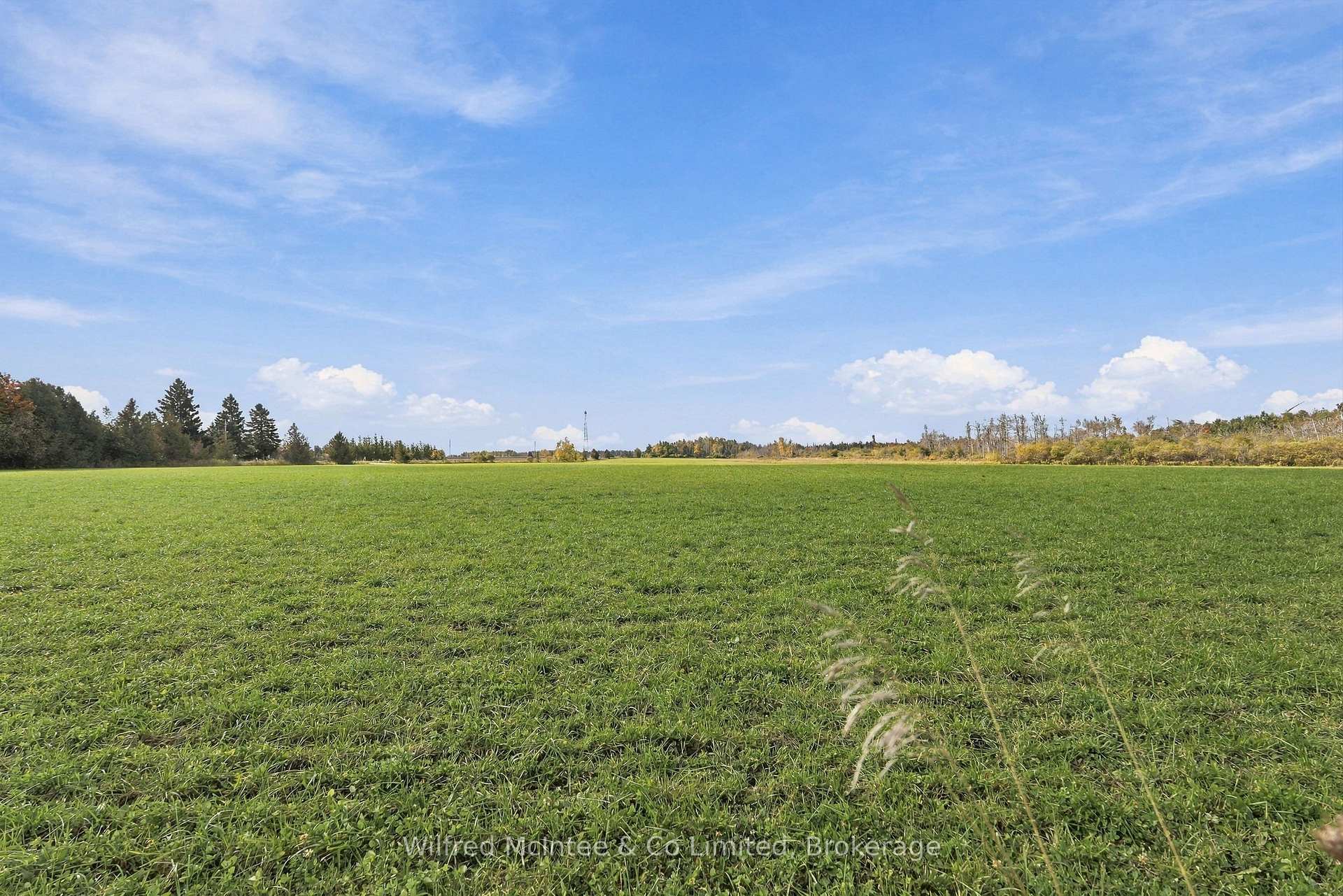 Photo 44 of 764059 240 Side Road, Melancthon, Rural Melancthon — HOMEH