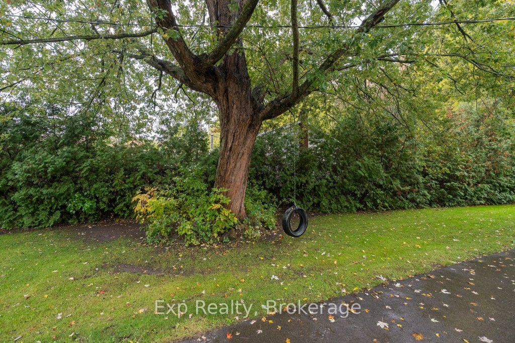 Photo 2 of 258 Alexander Road, Brighton, Rural Brighton — HOMEH