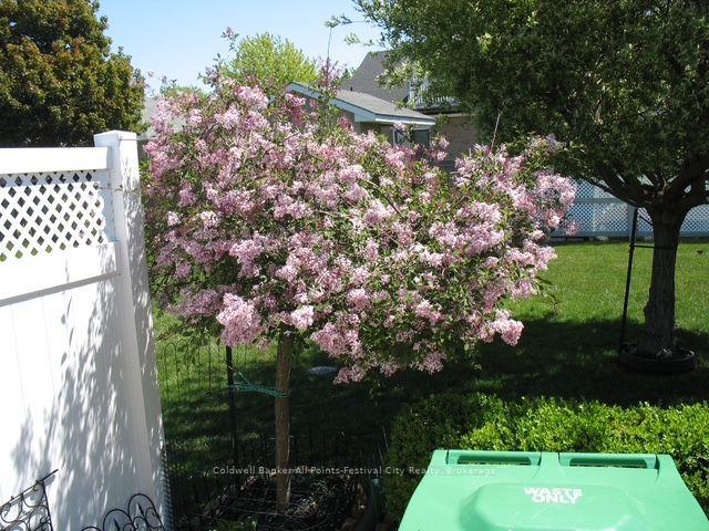 Photo 46 of 407 Warren Street, Goderich, Goderich (Town) — HOMEH