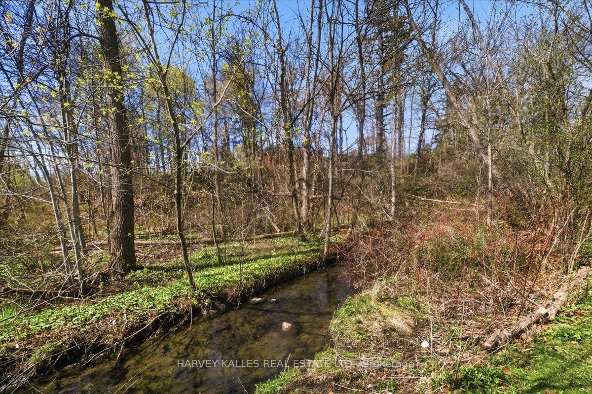 Photo 42 of 72 Walmer Road, Richmond Hill, North Richvale — HOMEH