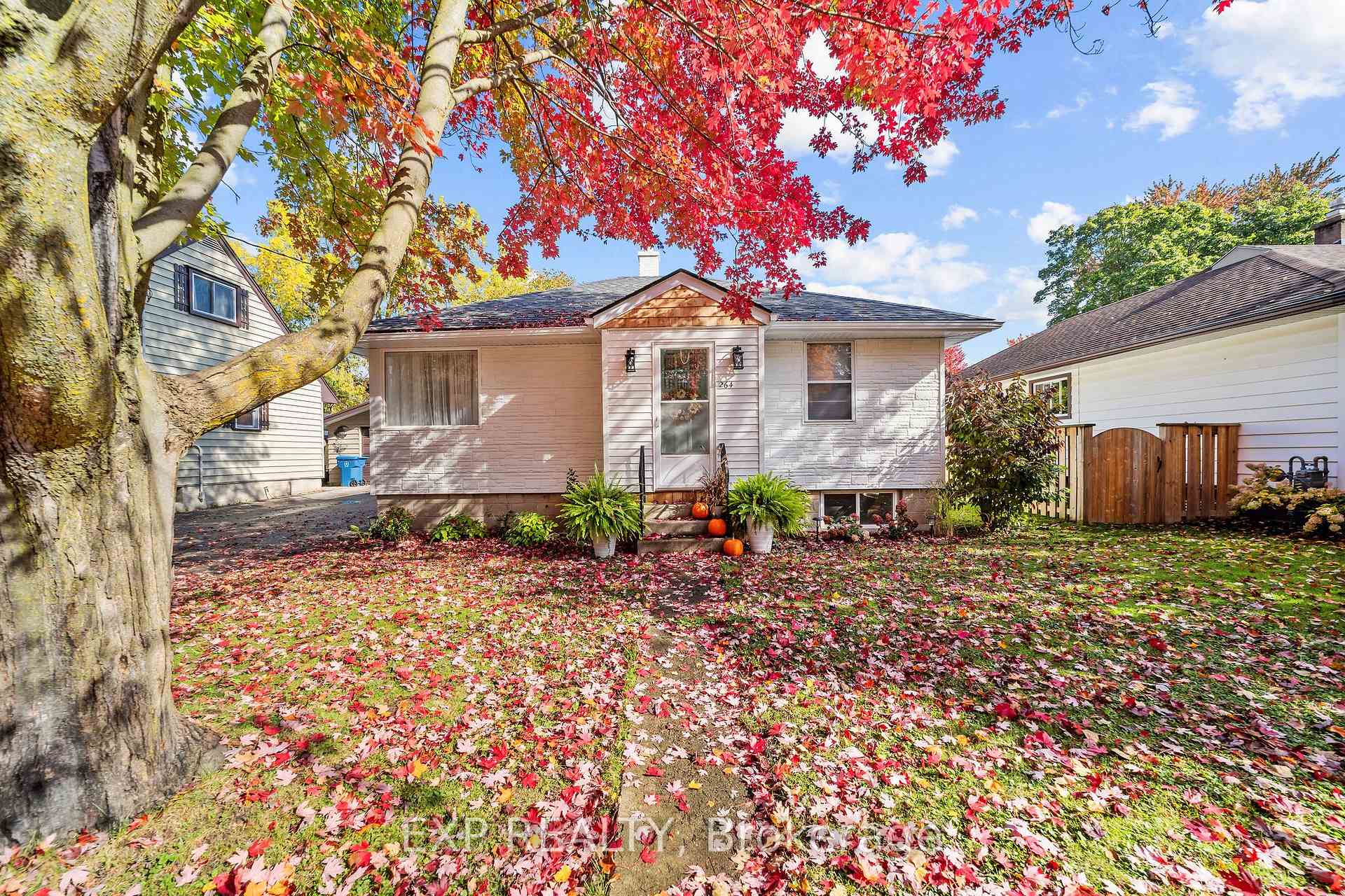 Photo of 264 Douglas Street