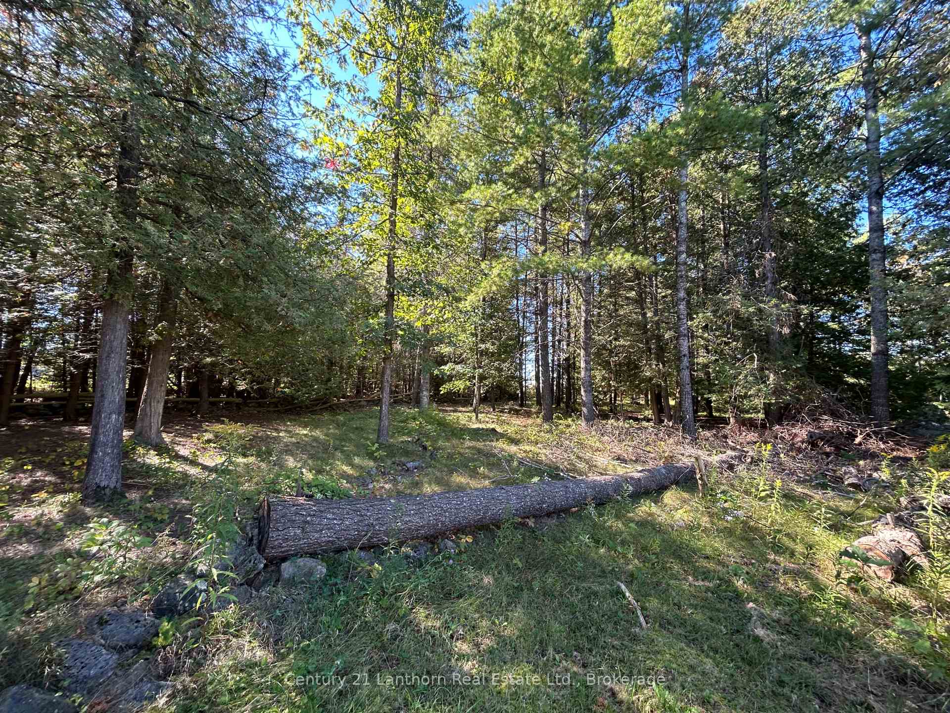 Photo 30 of 67 Rockhaven Crescent, Marmora and Lake, Marmora Ward — HOMEH