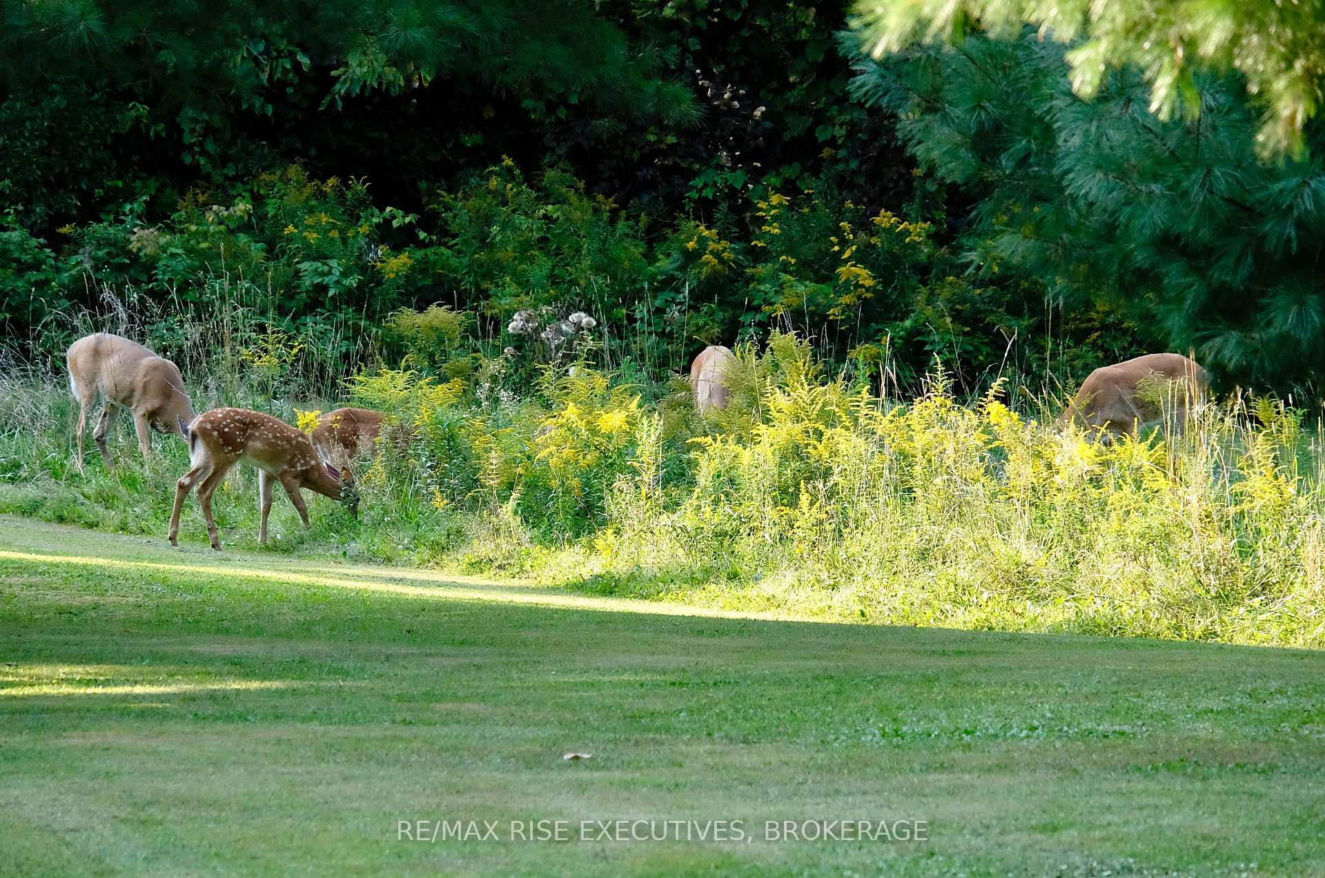 Photo 37 of Pt 2 Spring Mill Lane, Frontenac, Frontenac South — HOMEH