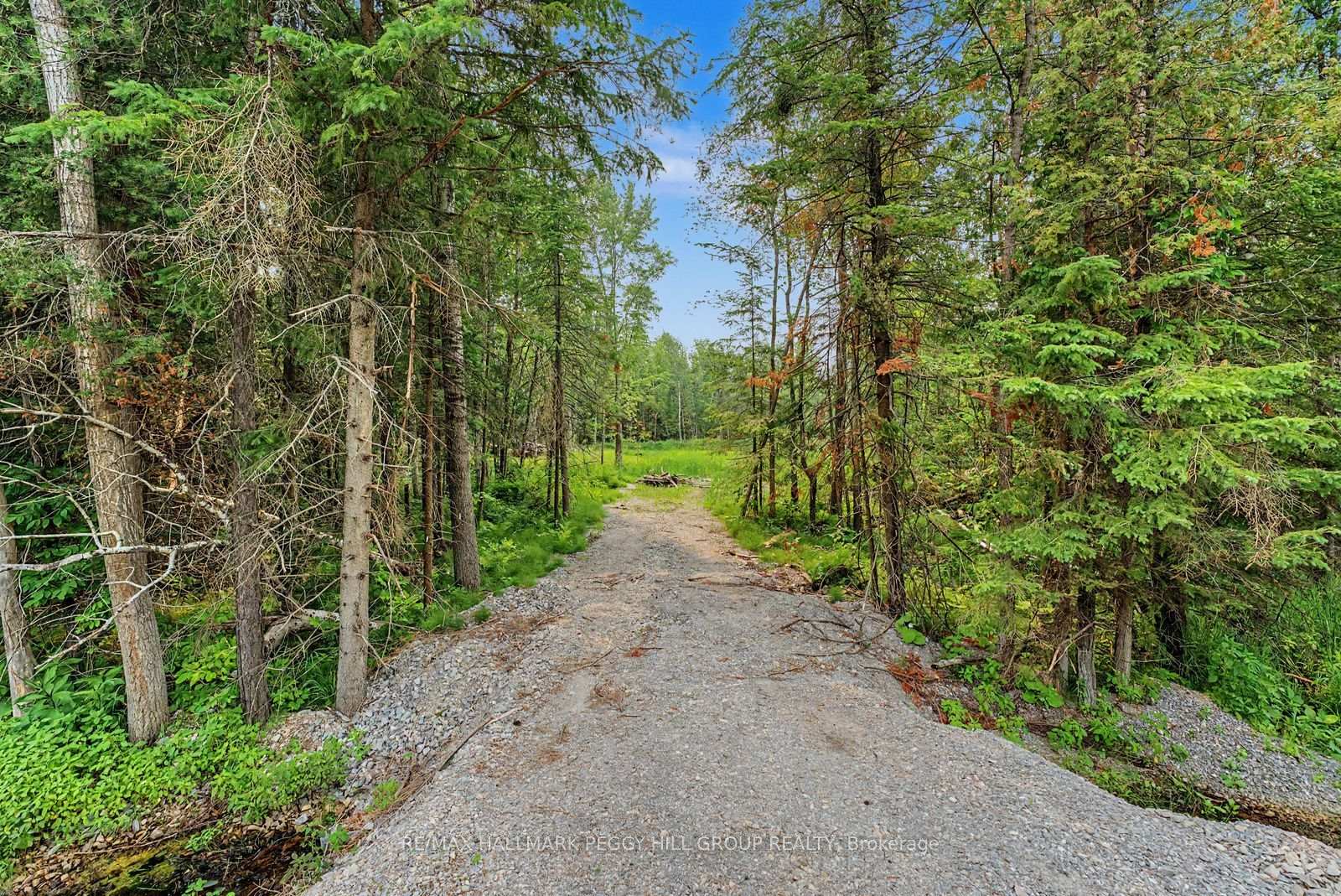 Photo 3 of 6905 County Road 21, Essa, Rural Essa — HOMEH